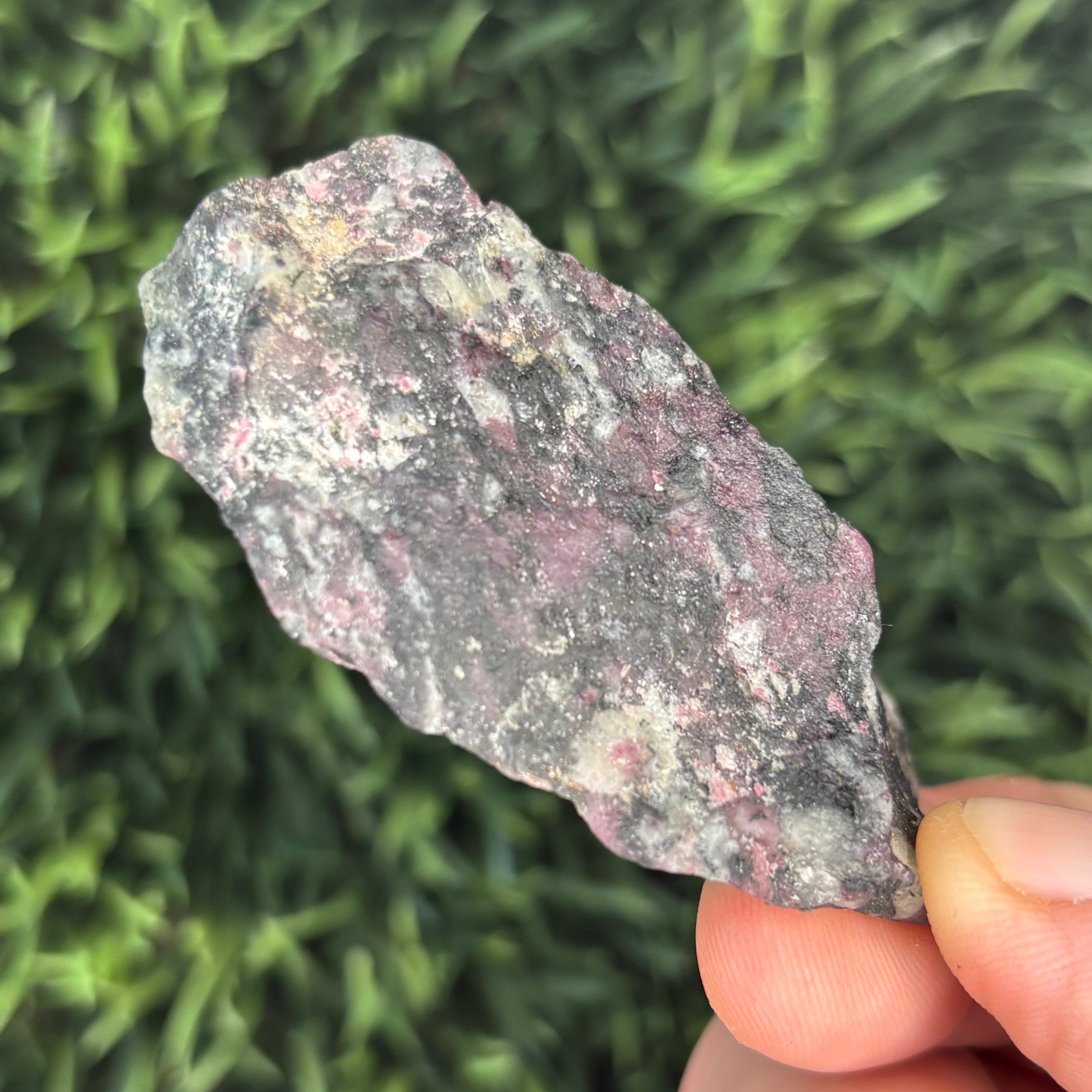 Eudialyte - 018