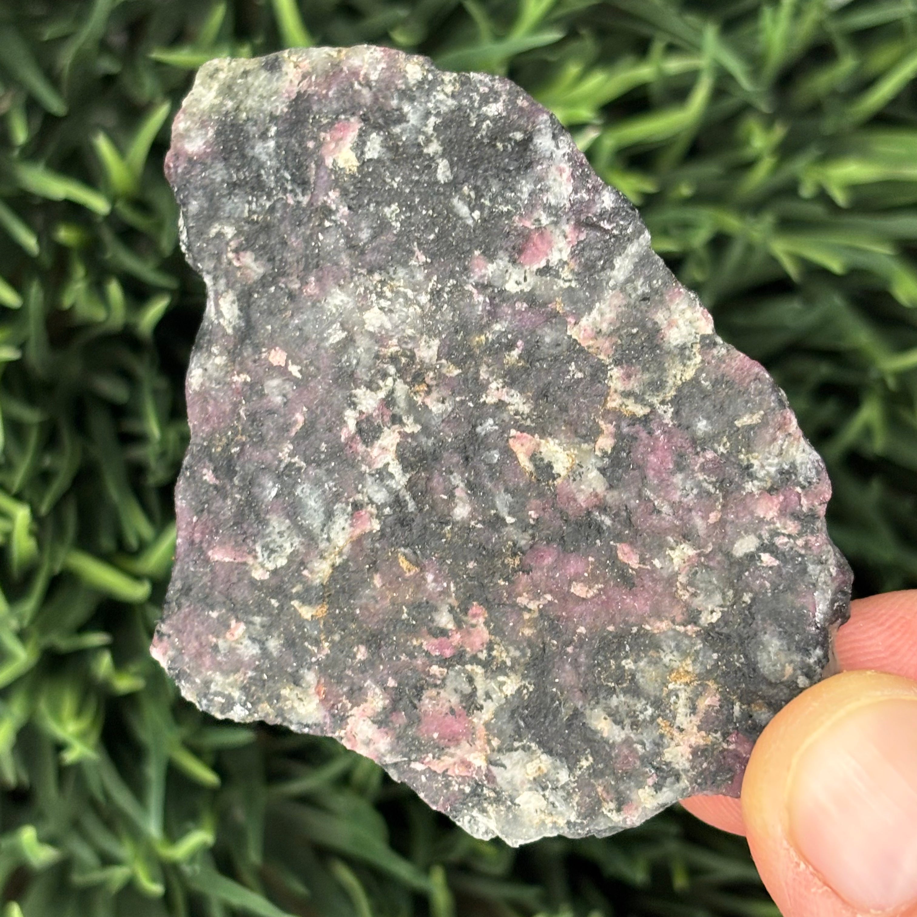 Eudialyte - 018