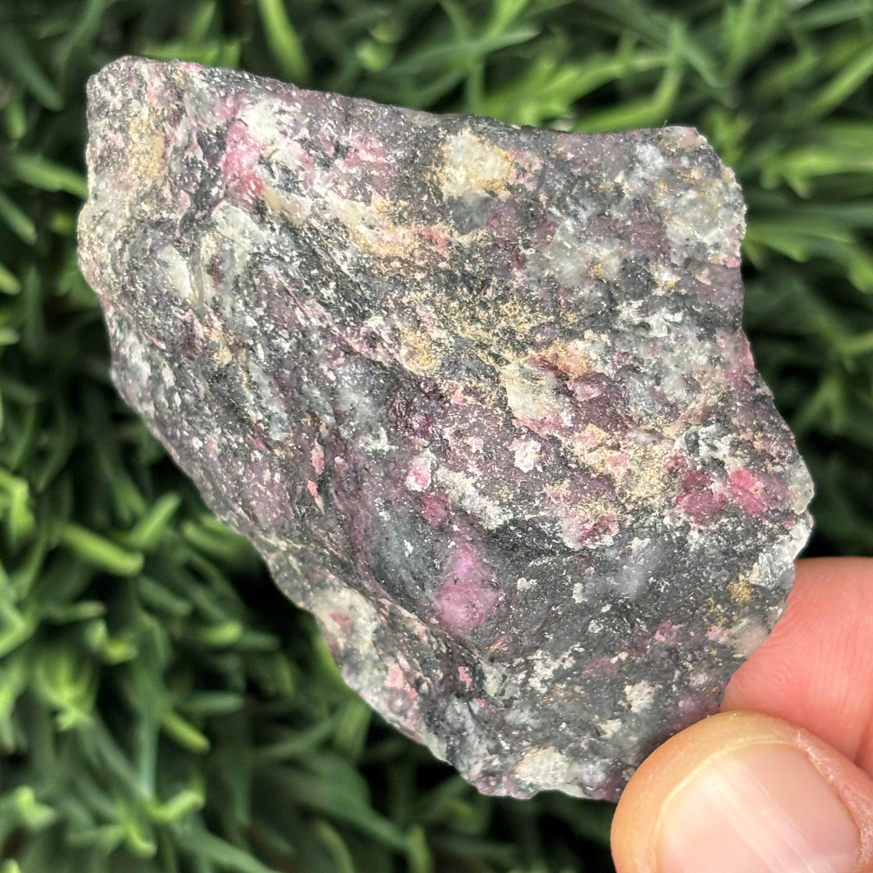 Eudialyte - 018
