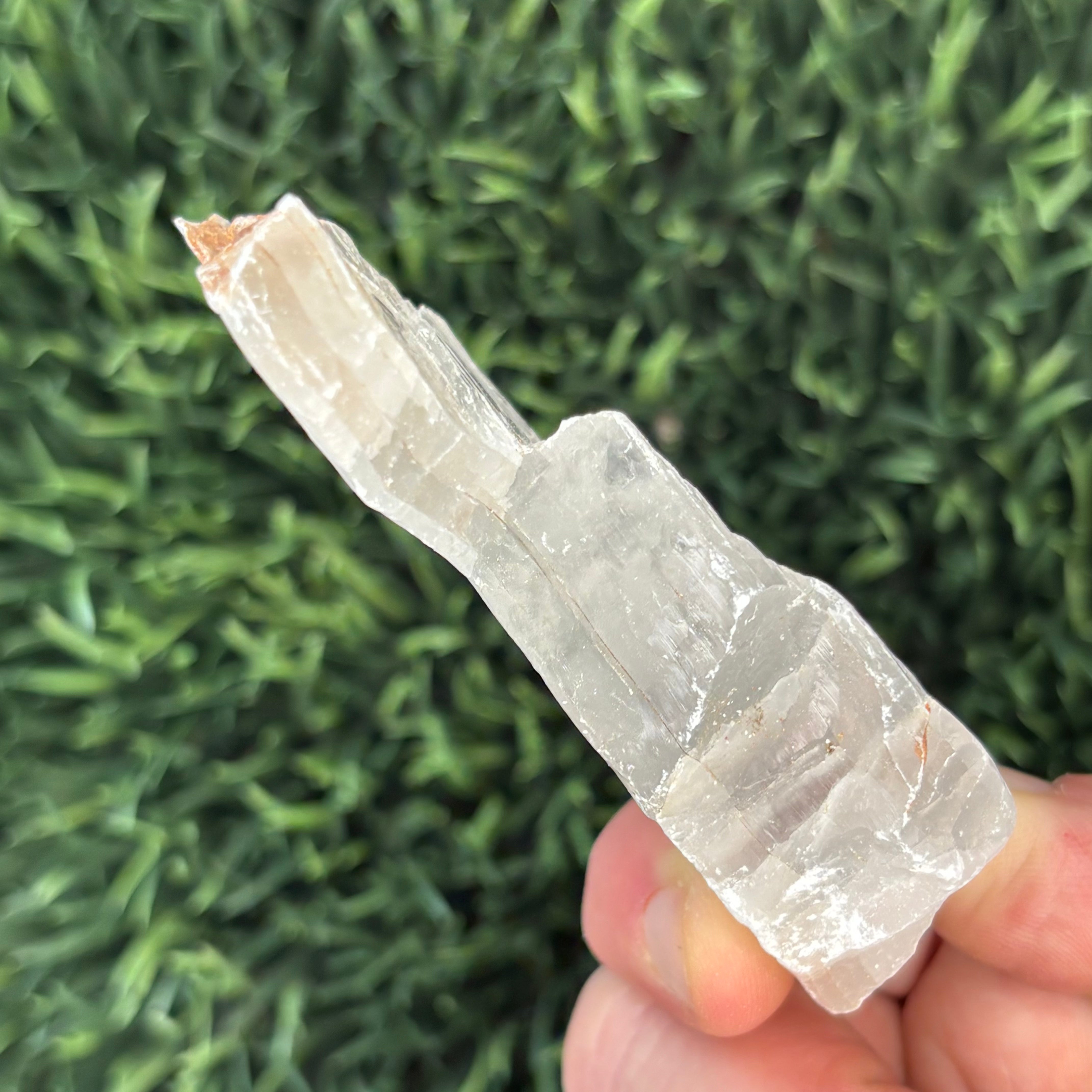 Clear Selenite Natural Form - 036