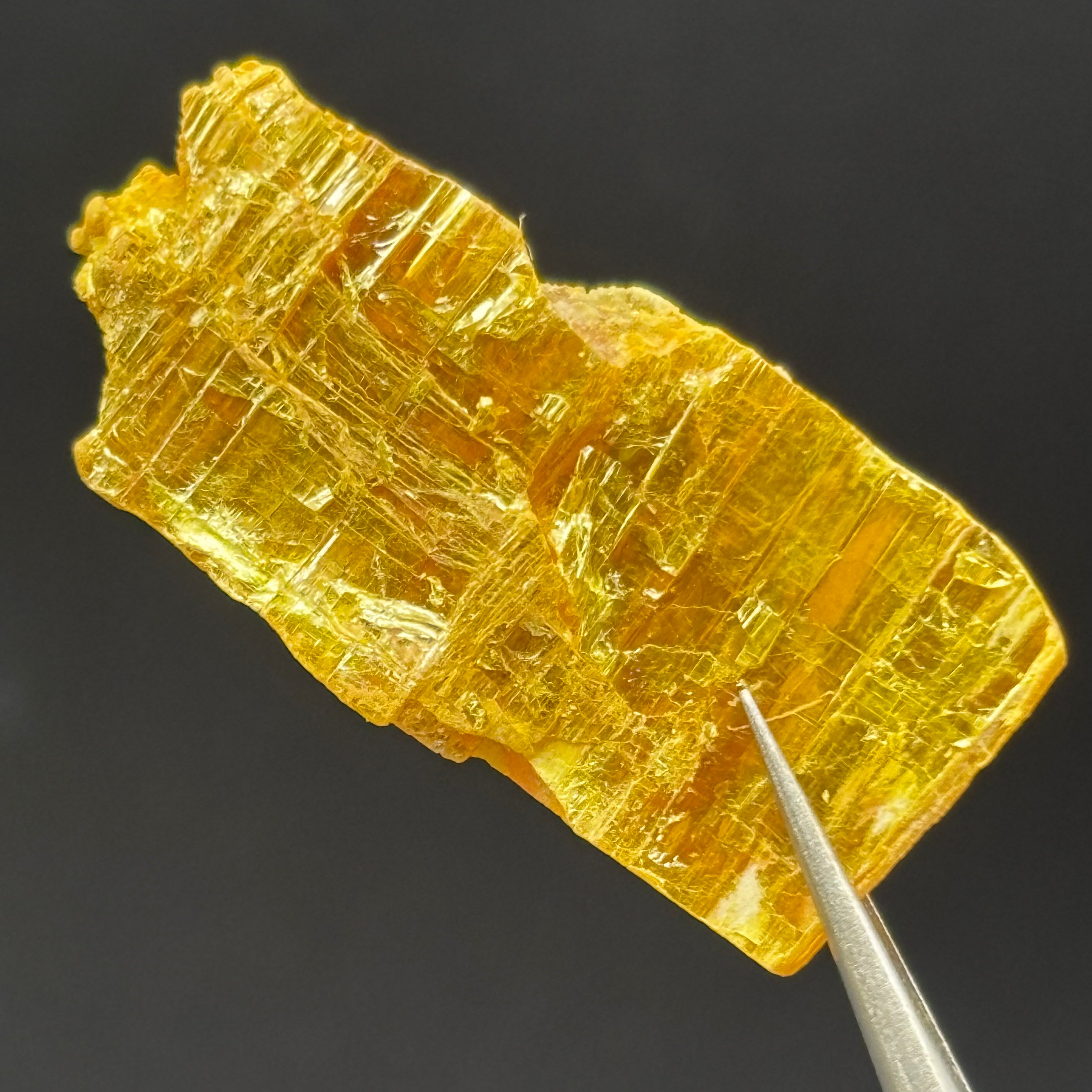 Siberian Orpiment - 018