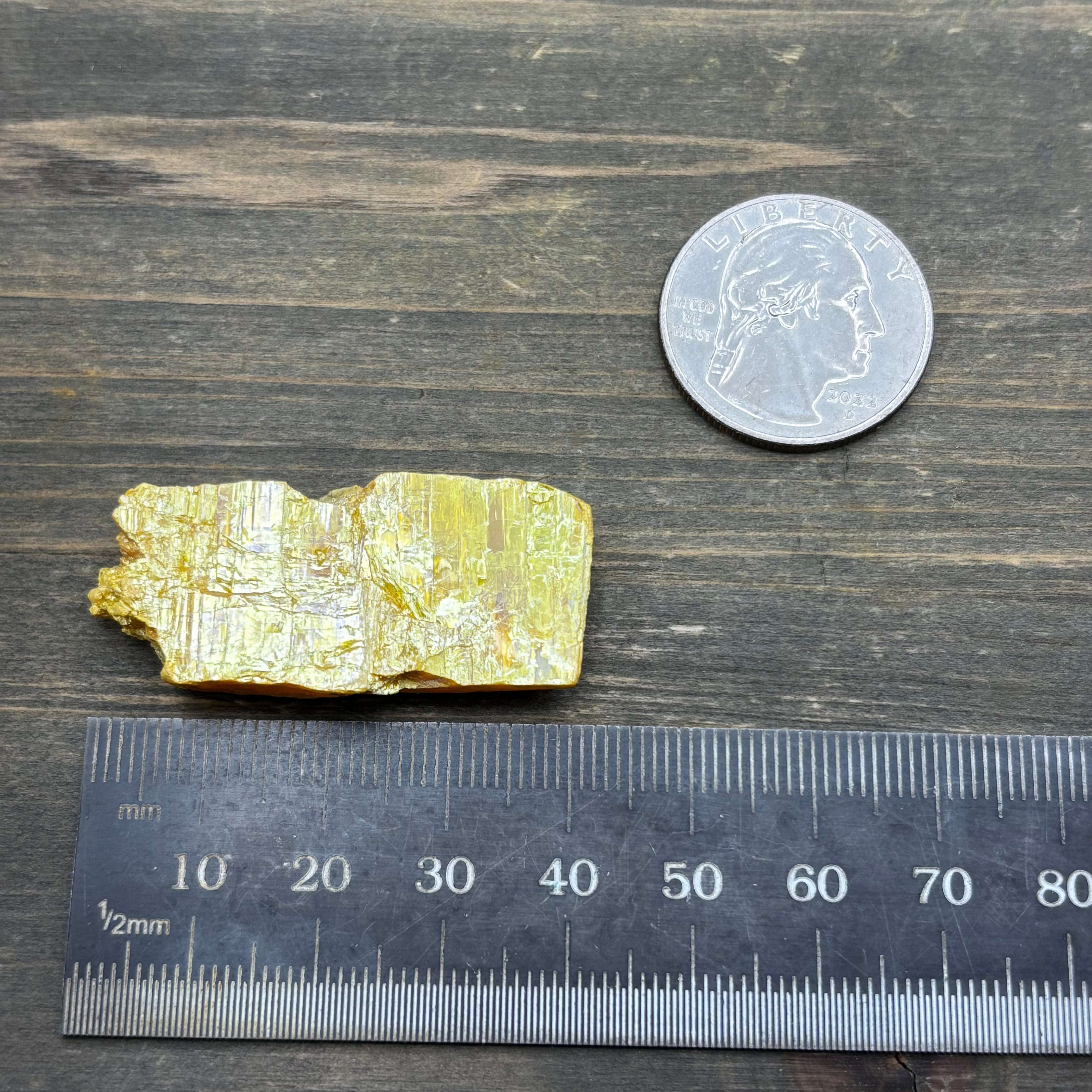 Siberian Orpiment - 018