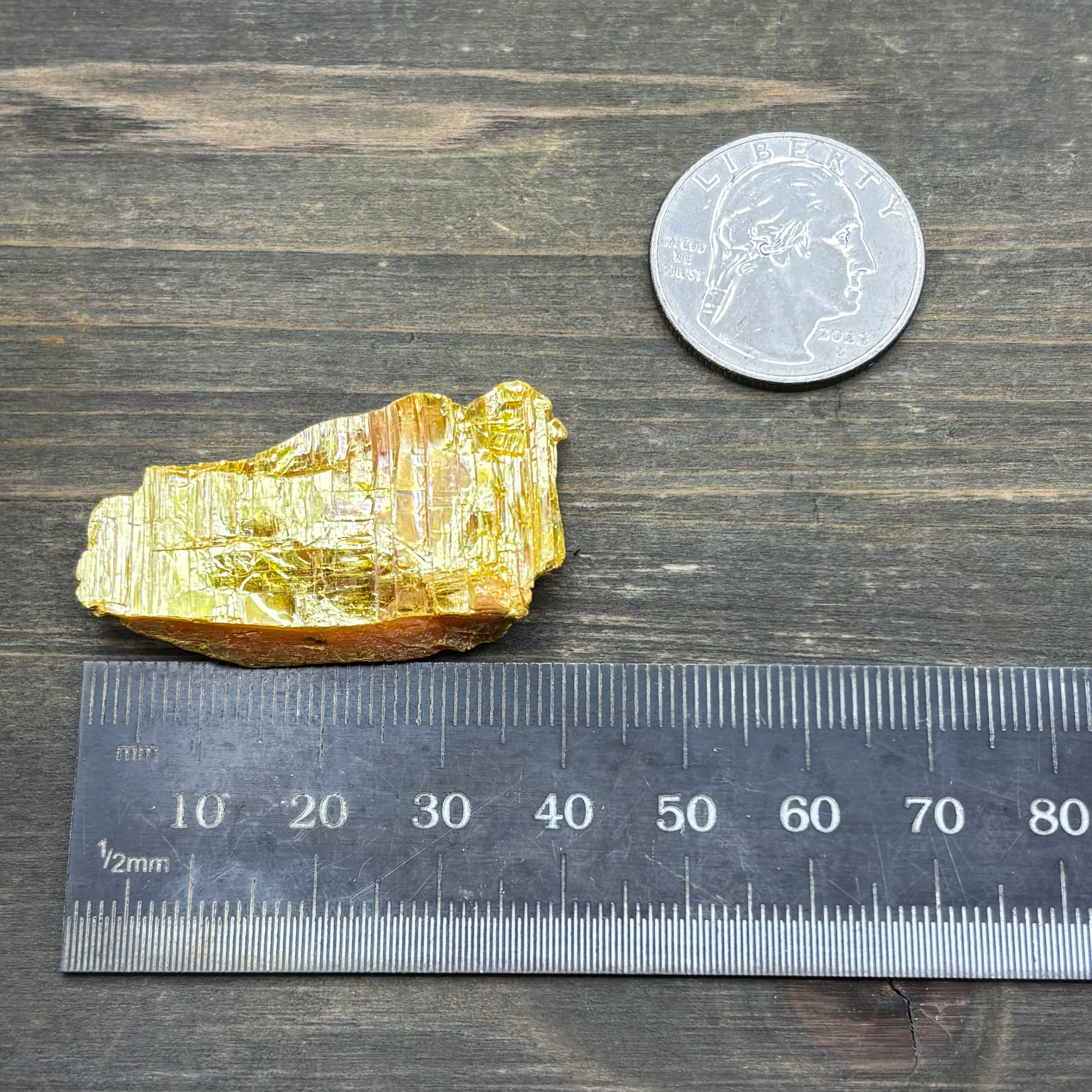 Siberian Orpiment - 019