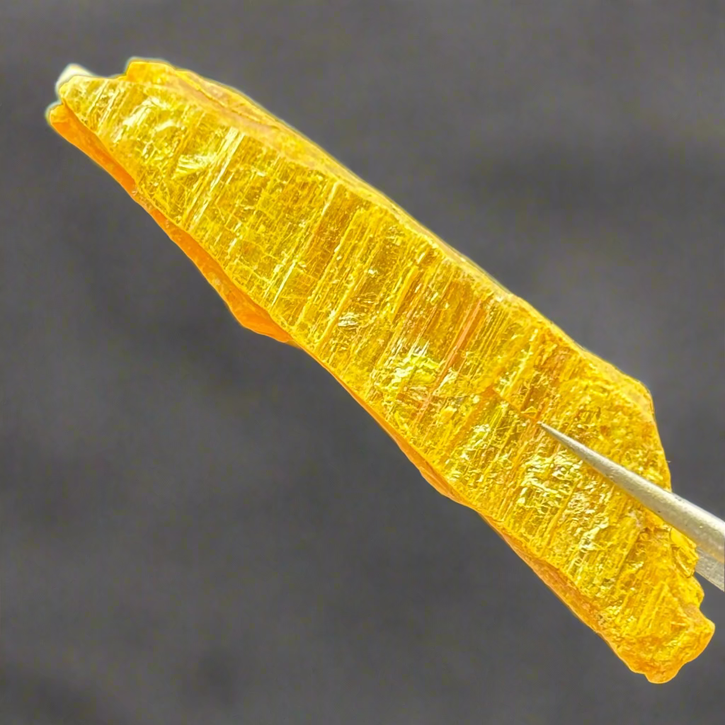Siberian Orpiment - 020