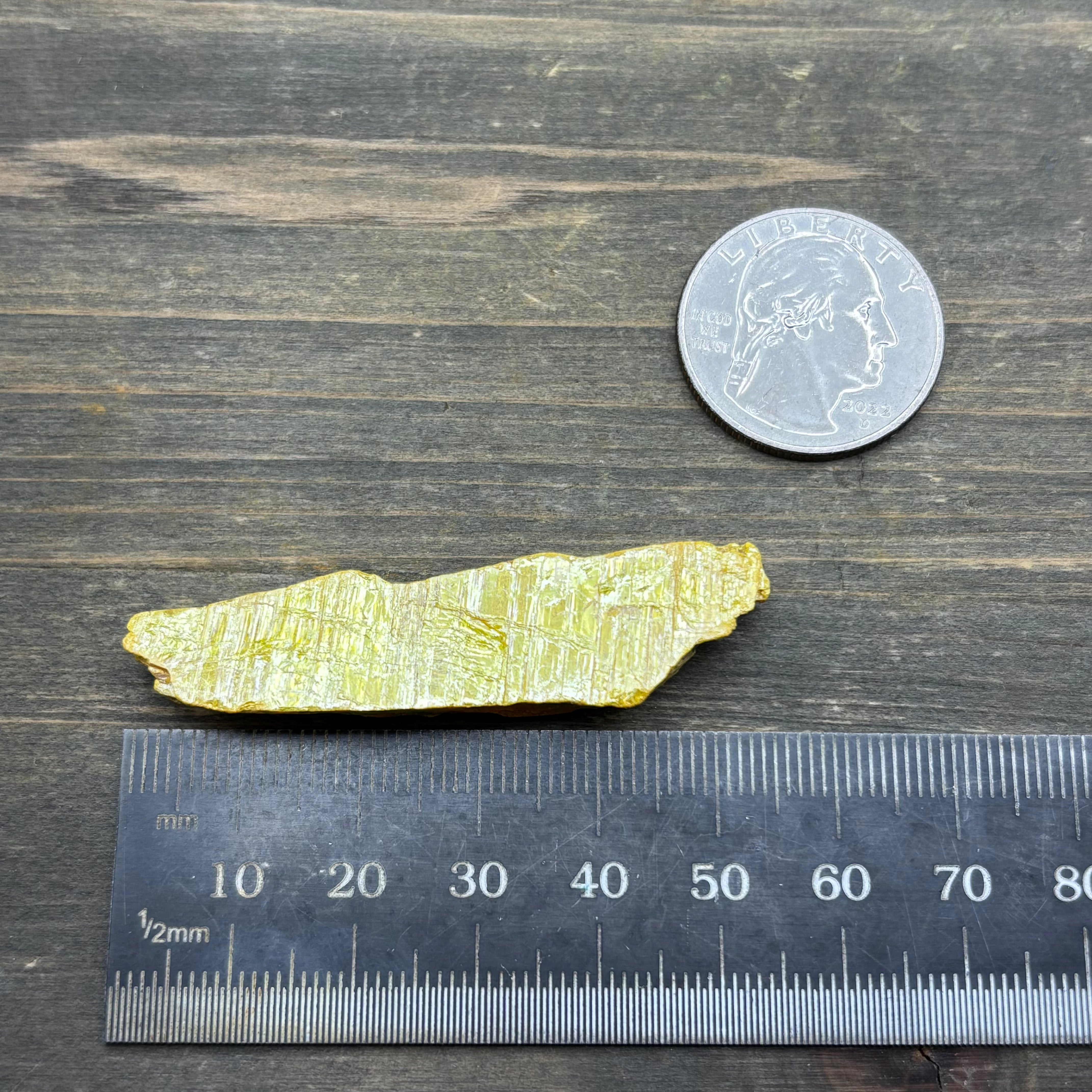 Siberian Orpiment - 020