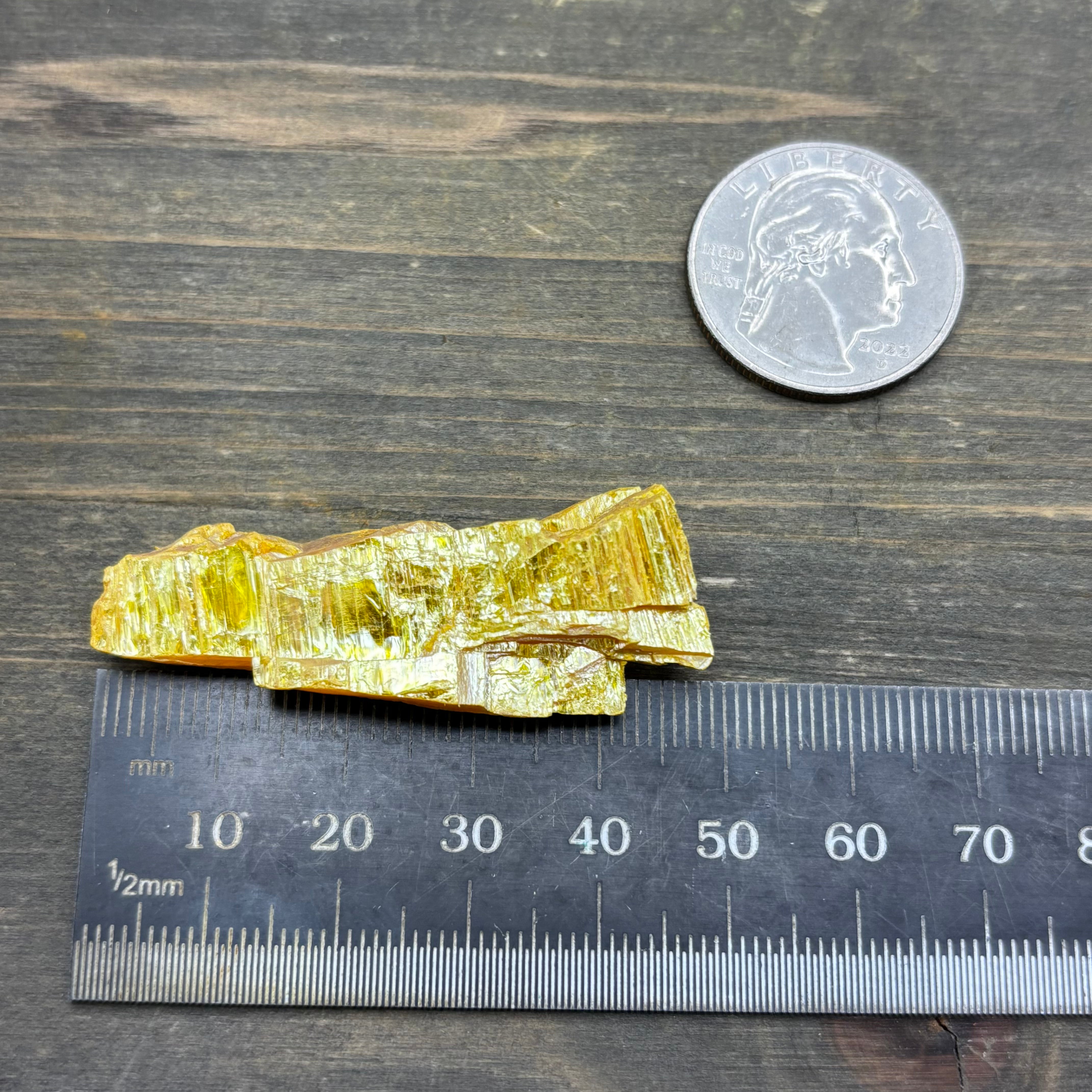 Siberian Orpiment - 021