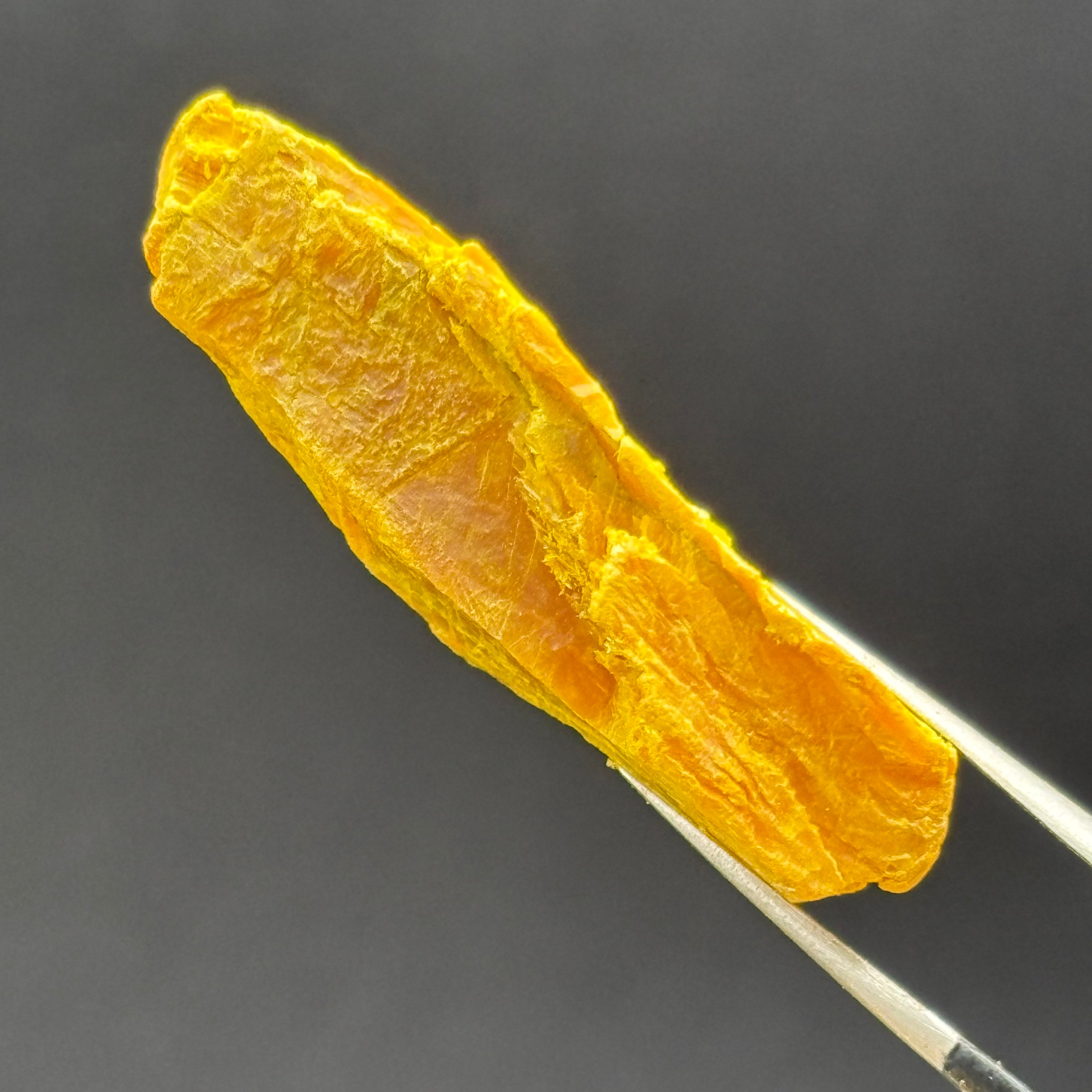 Siberian Orpiment - 022