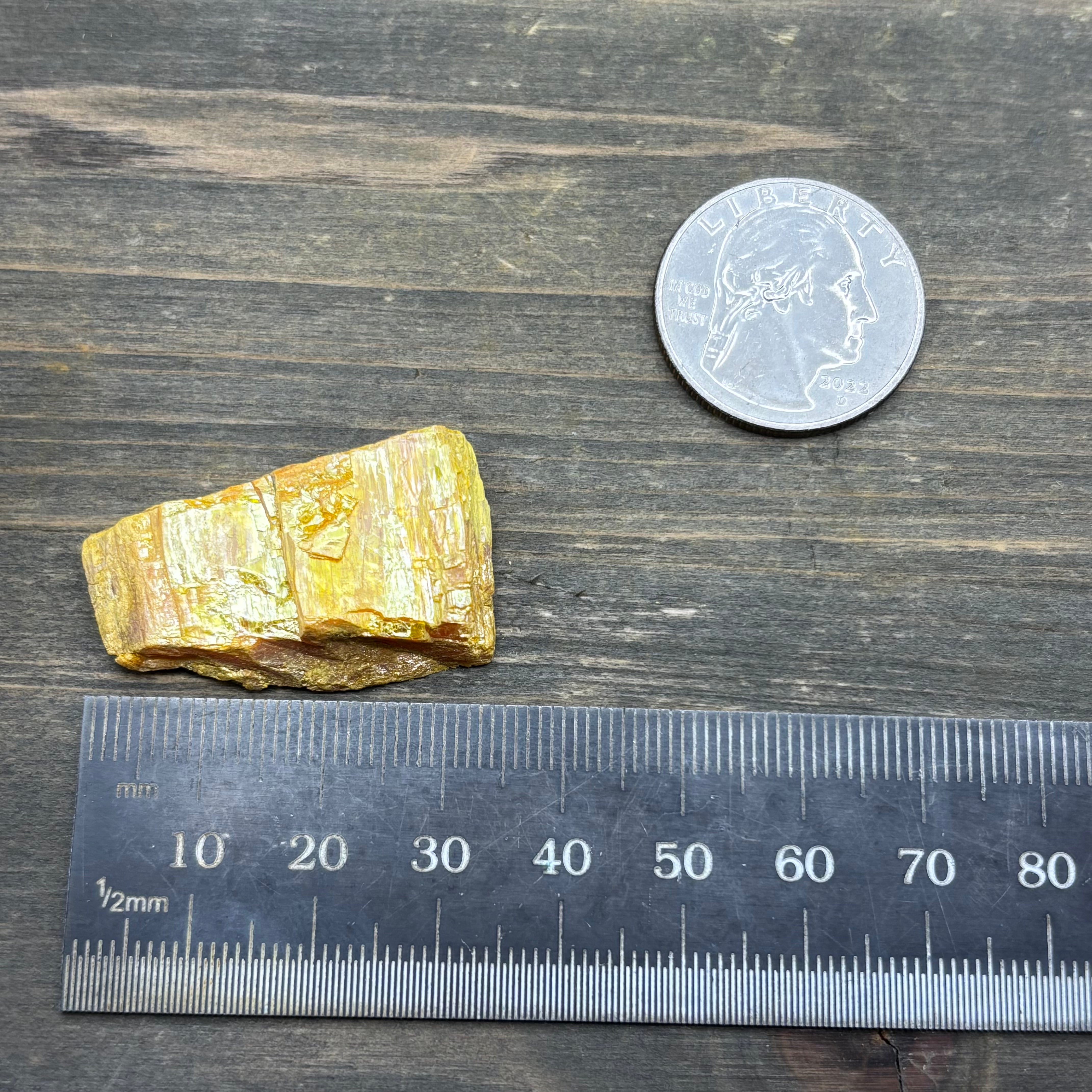 Siberian Orpiment - 023