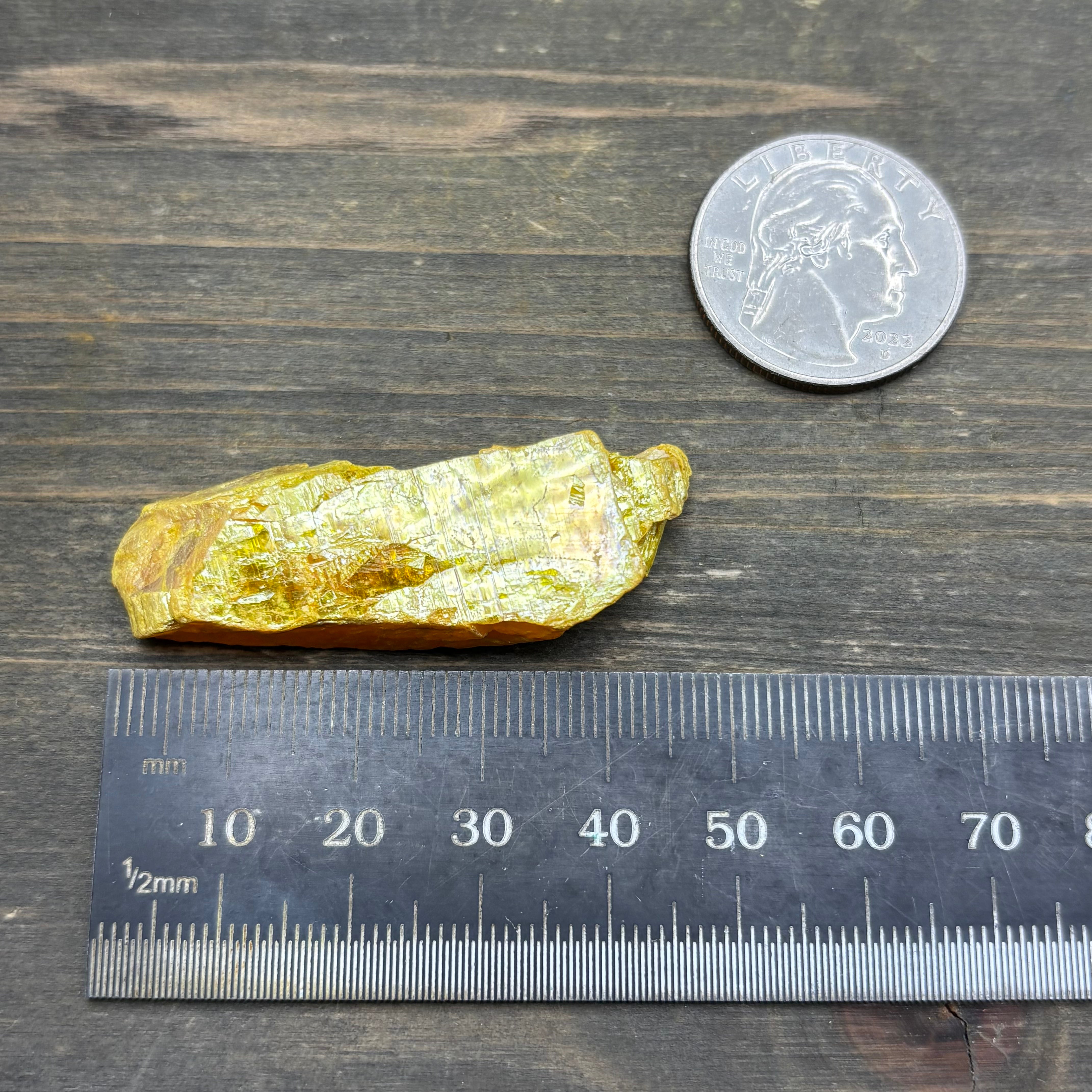 Siberian Orpiment - 024