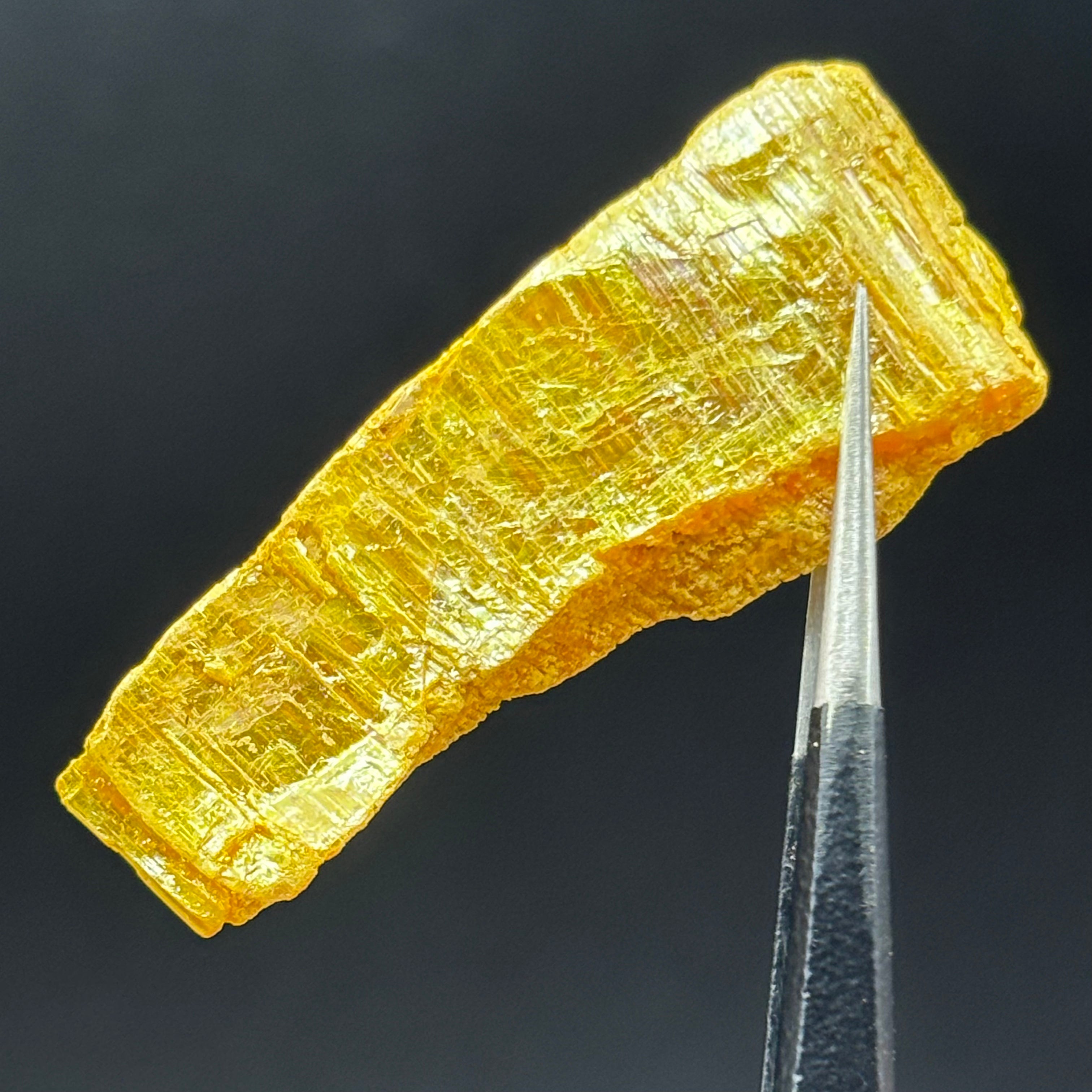Siberian Orpiment - 025