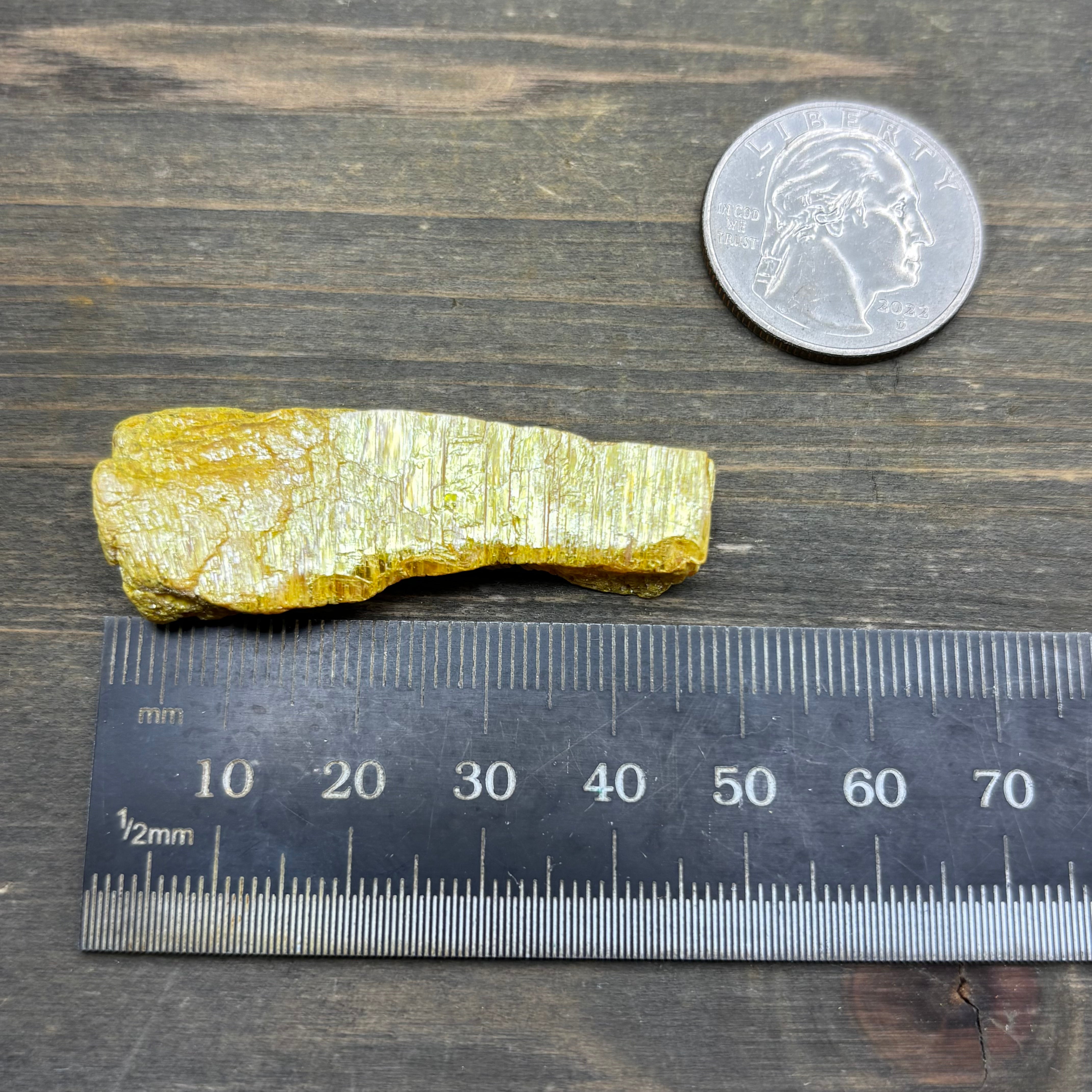 Siberian Orpiment - 025