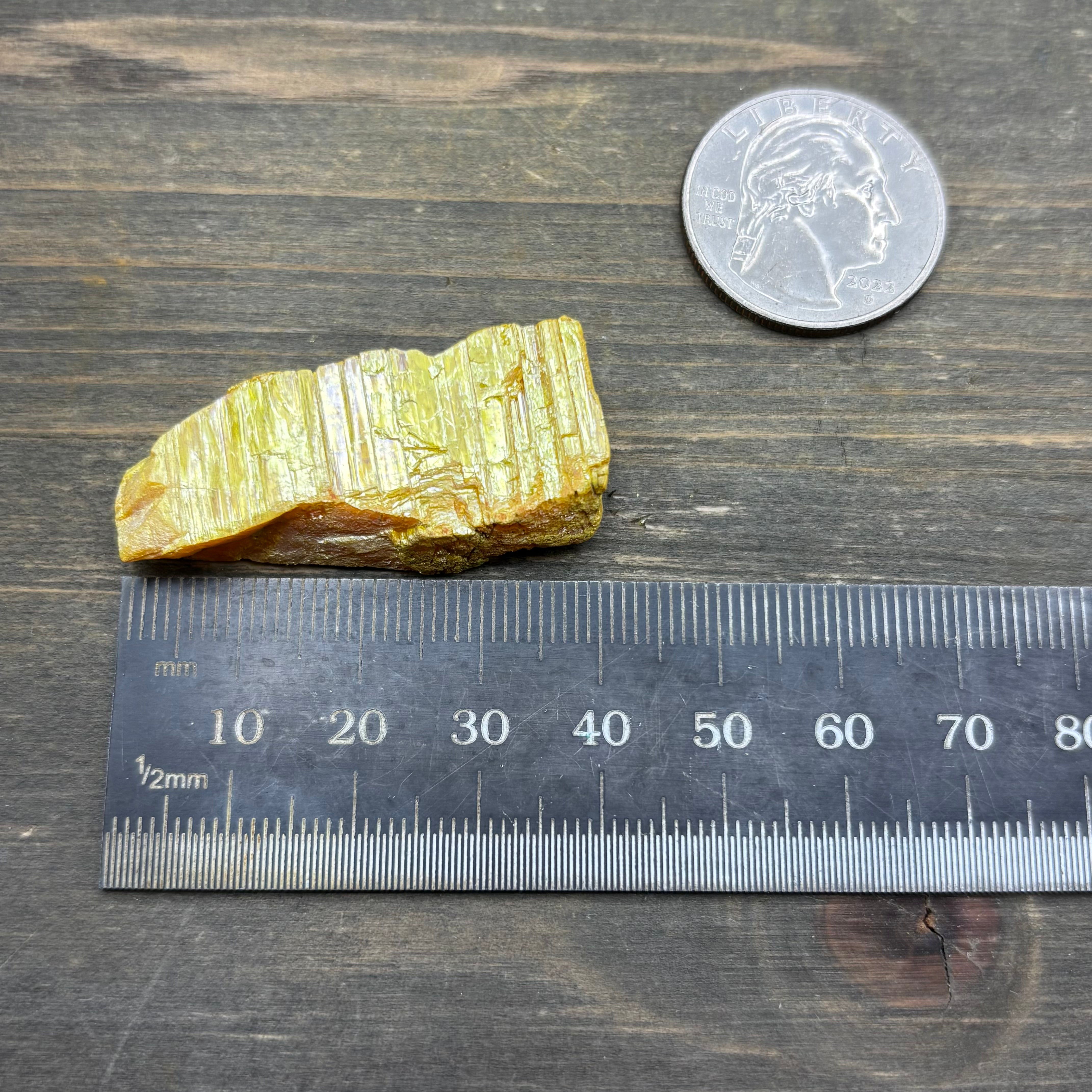 Siberian Orpiment - 026