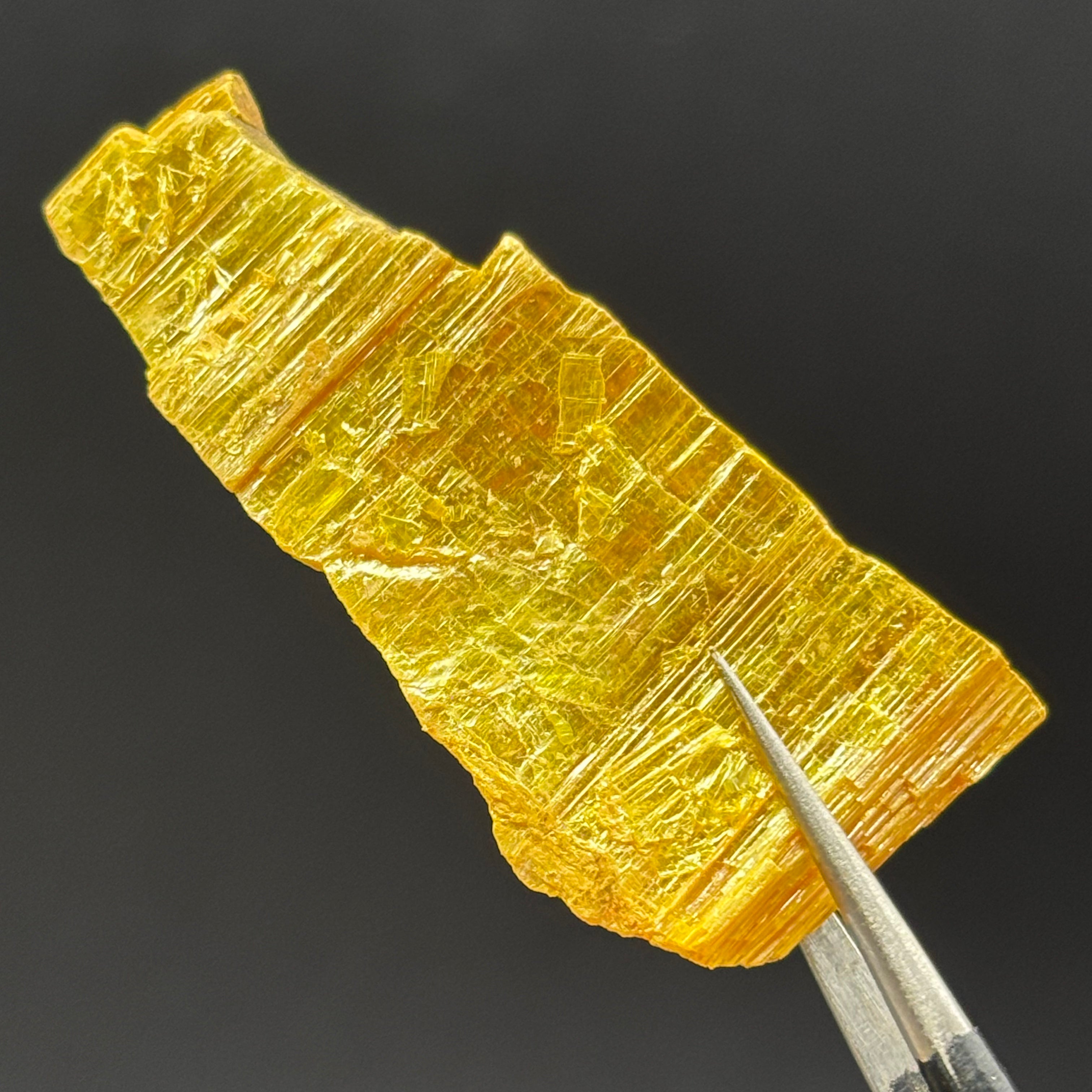 Siberian Orpiment - 027