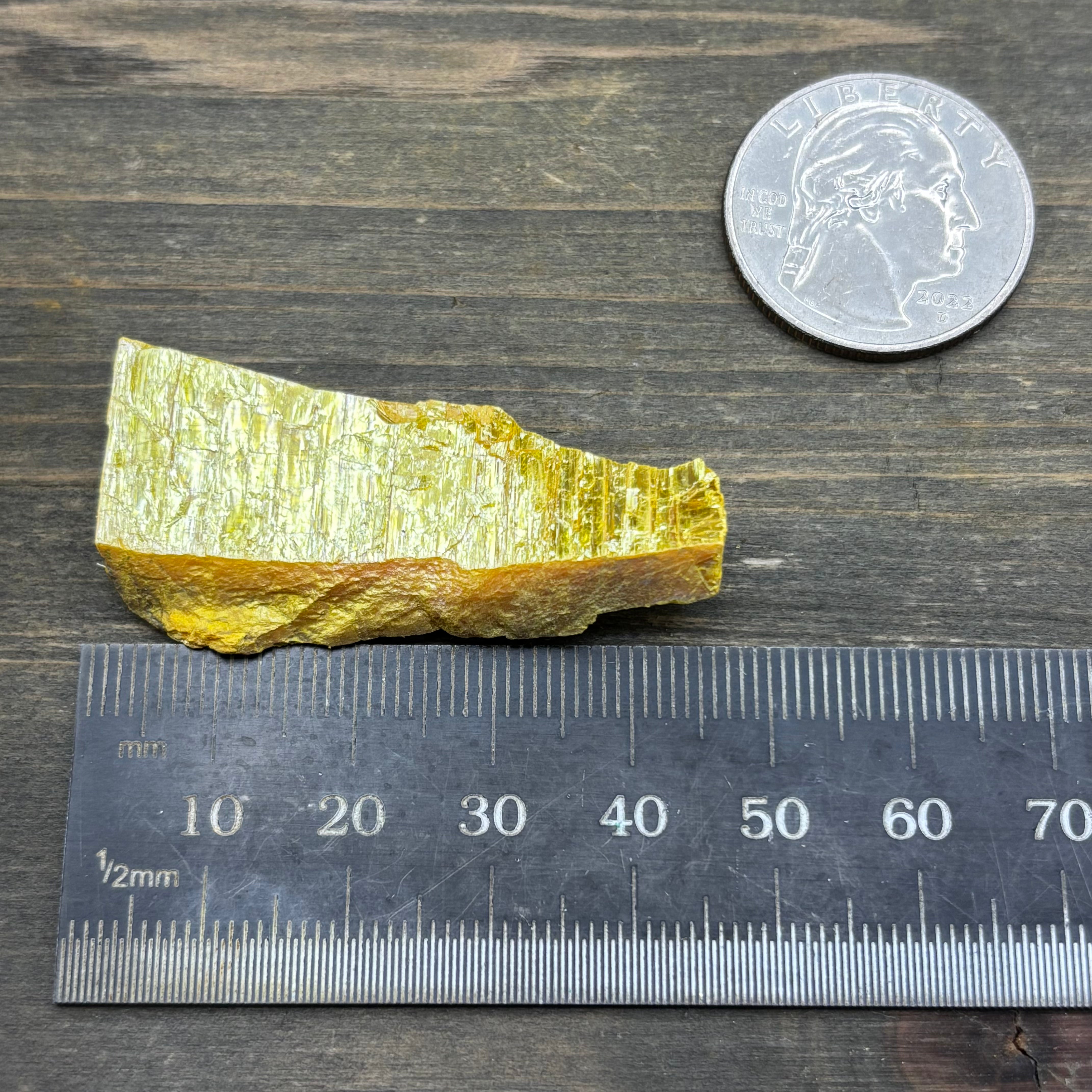 Siberian Orpiment - 027