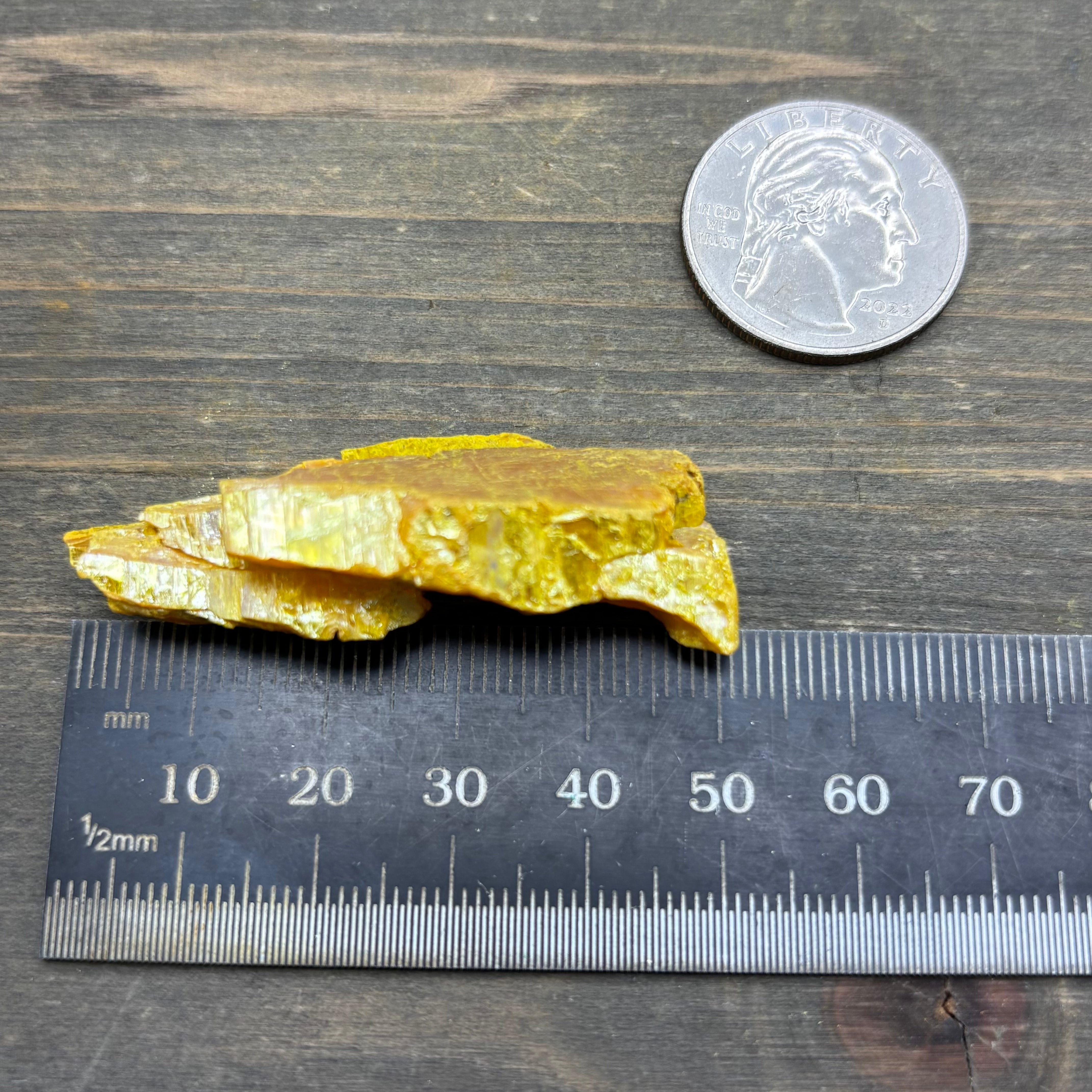 Siberian Orpiment - 028
