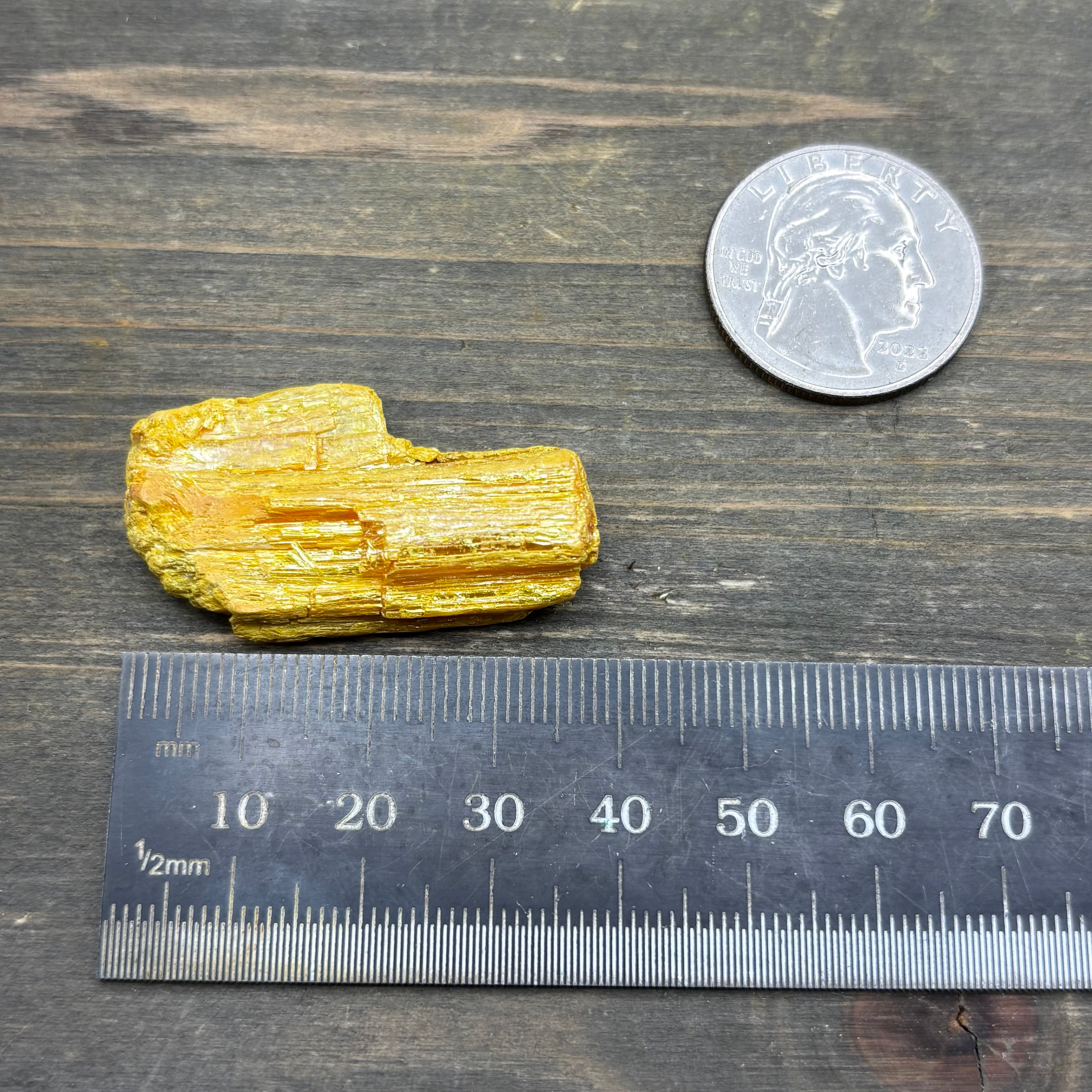 Siberian Orpiment - 029