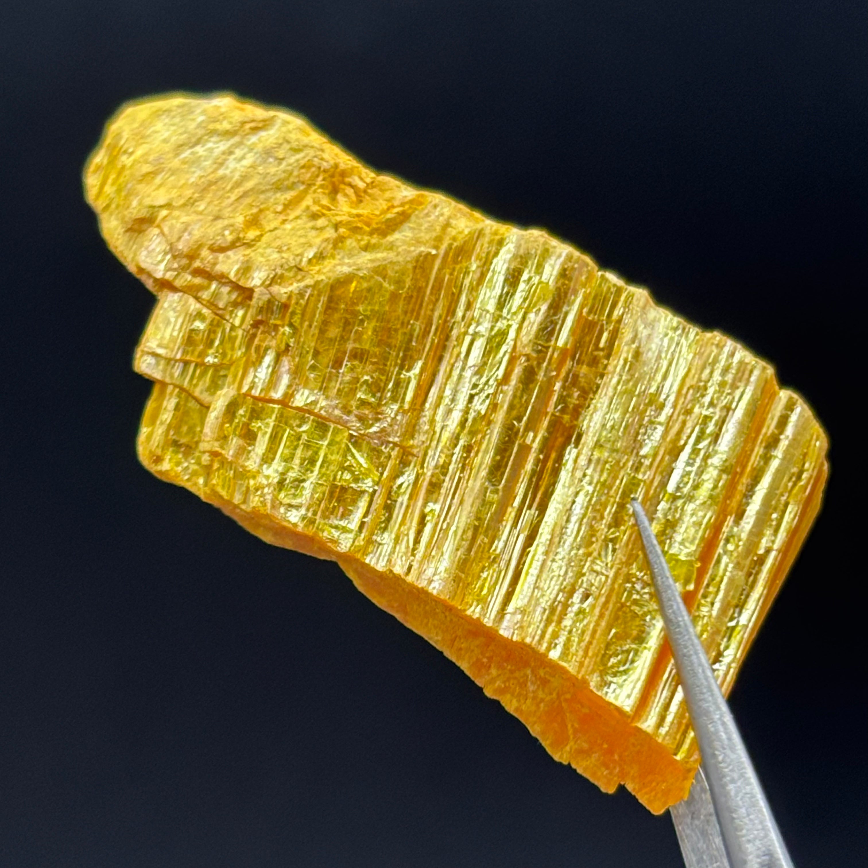 Siberian Orpiment - 030