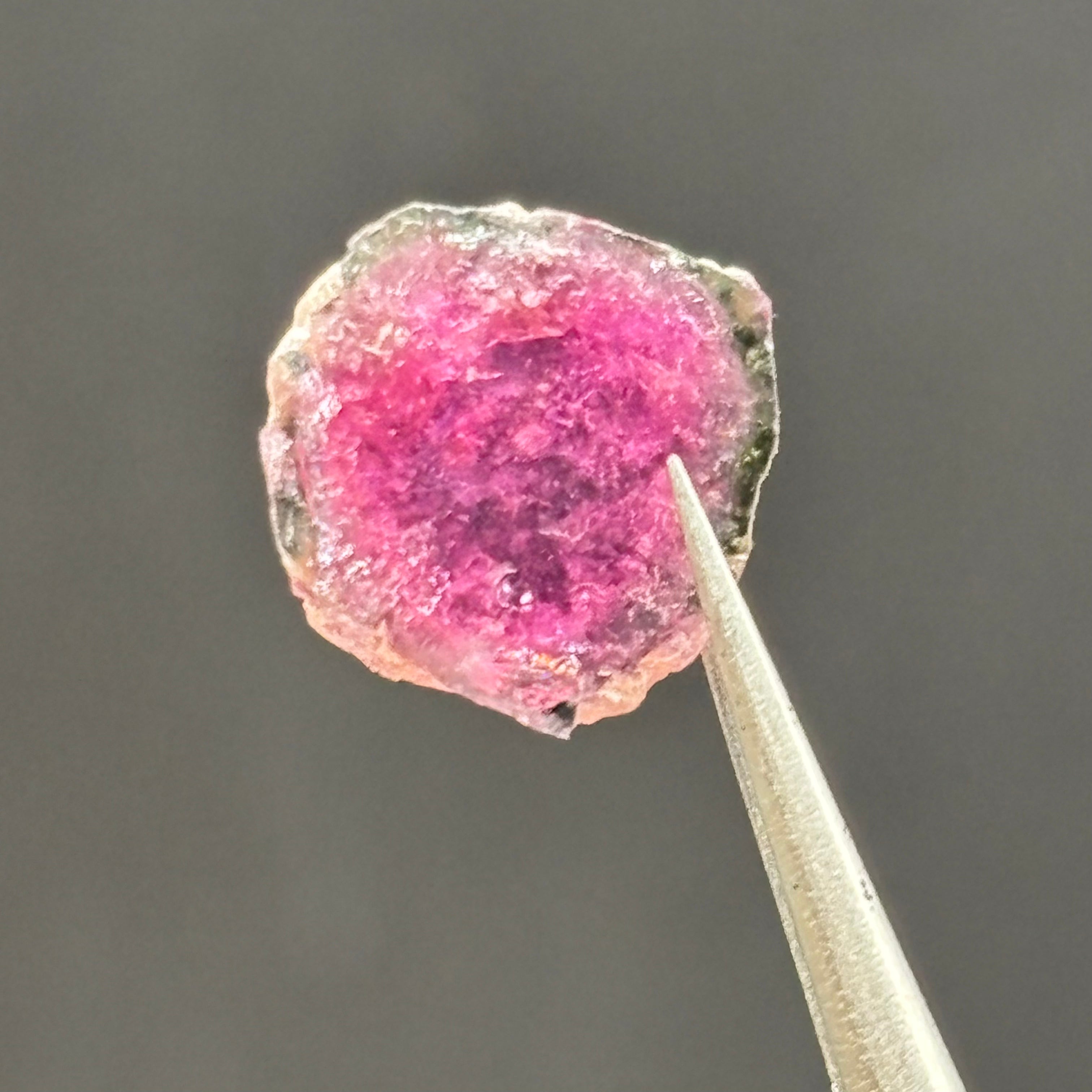 Watermelon Tourmaline Cross-Section - 009