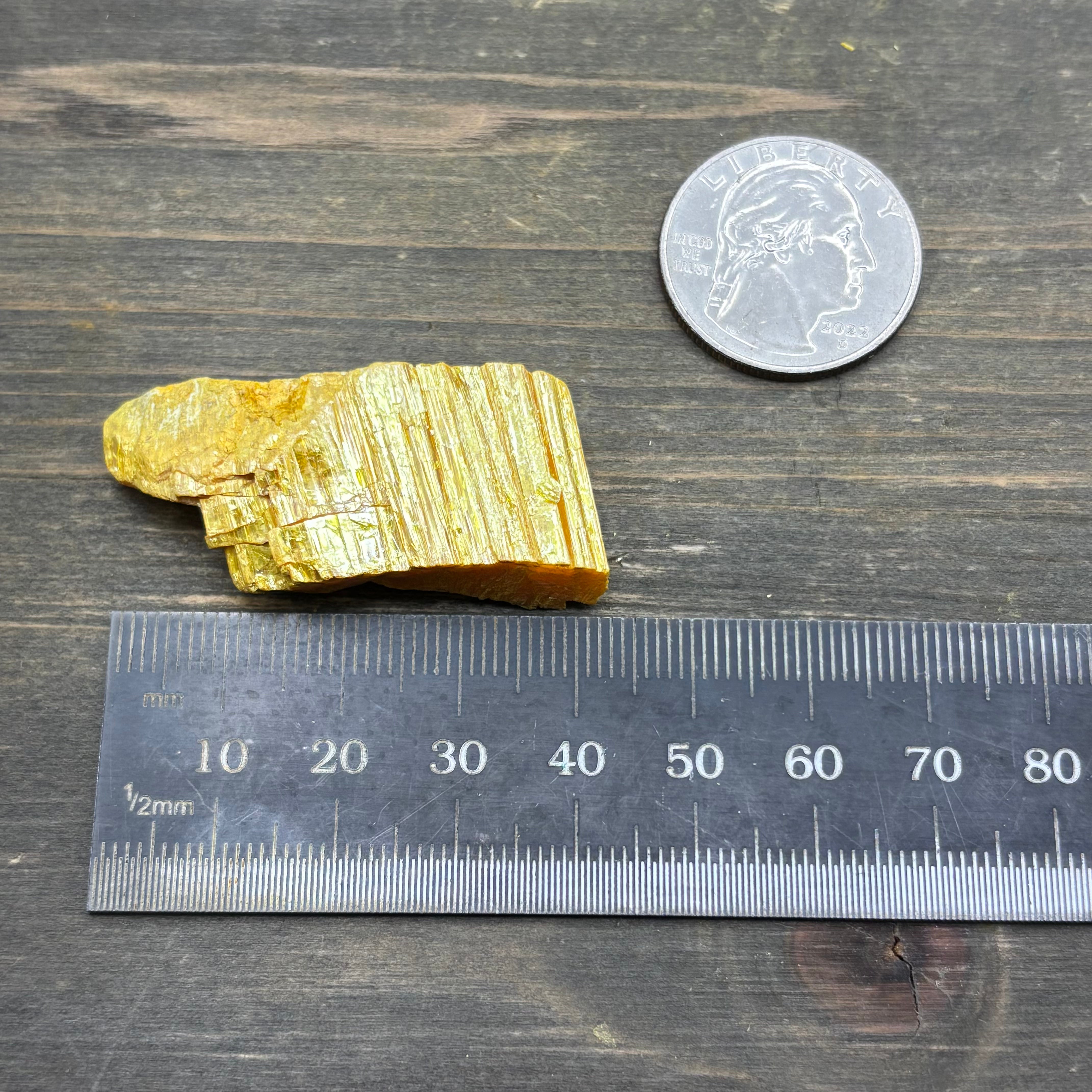 Siberian Orpiment - 030