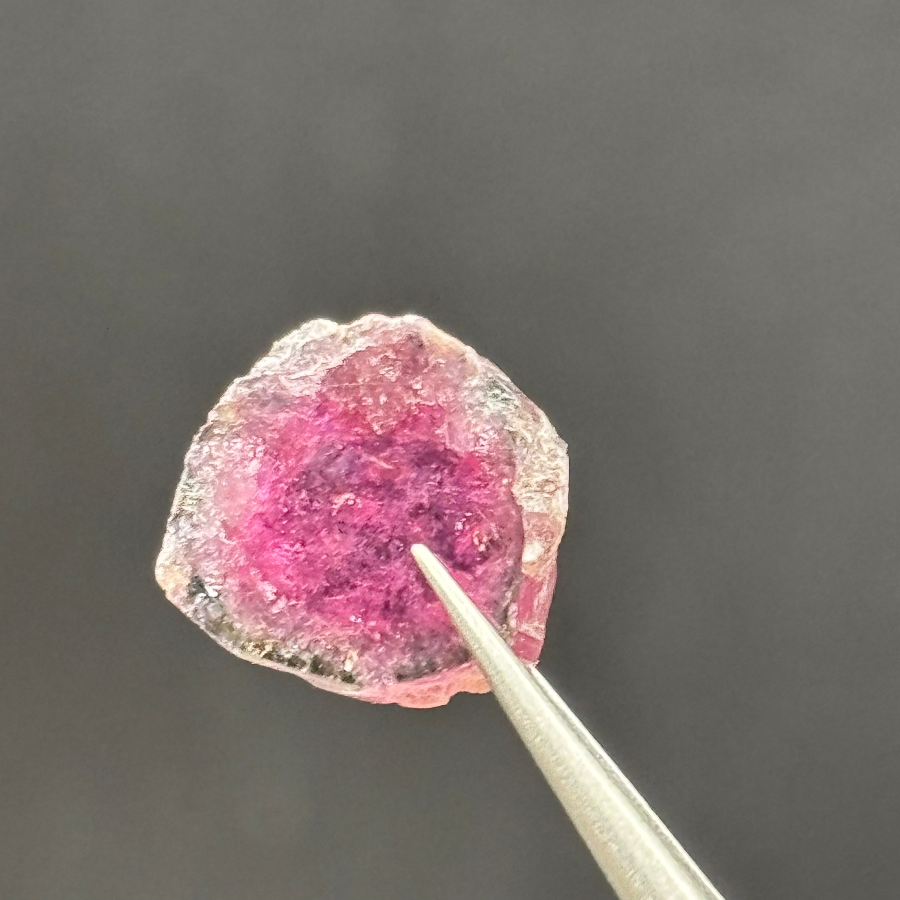 Watermelon Tourmaline Cross-Section - 009