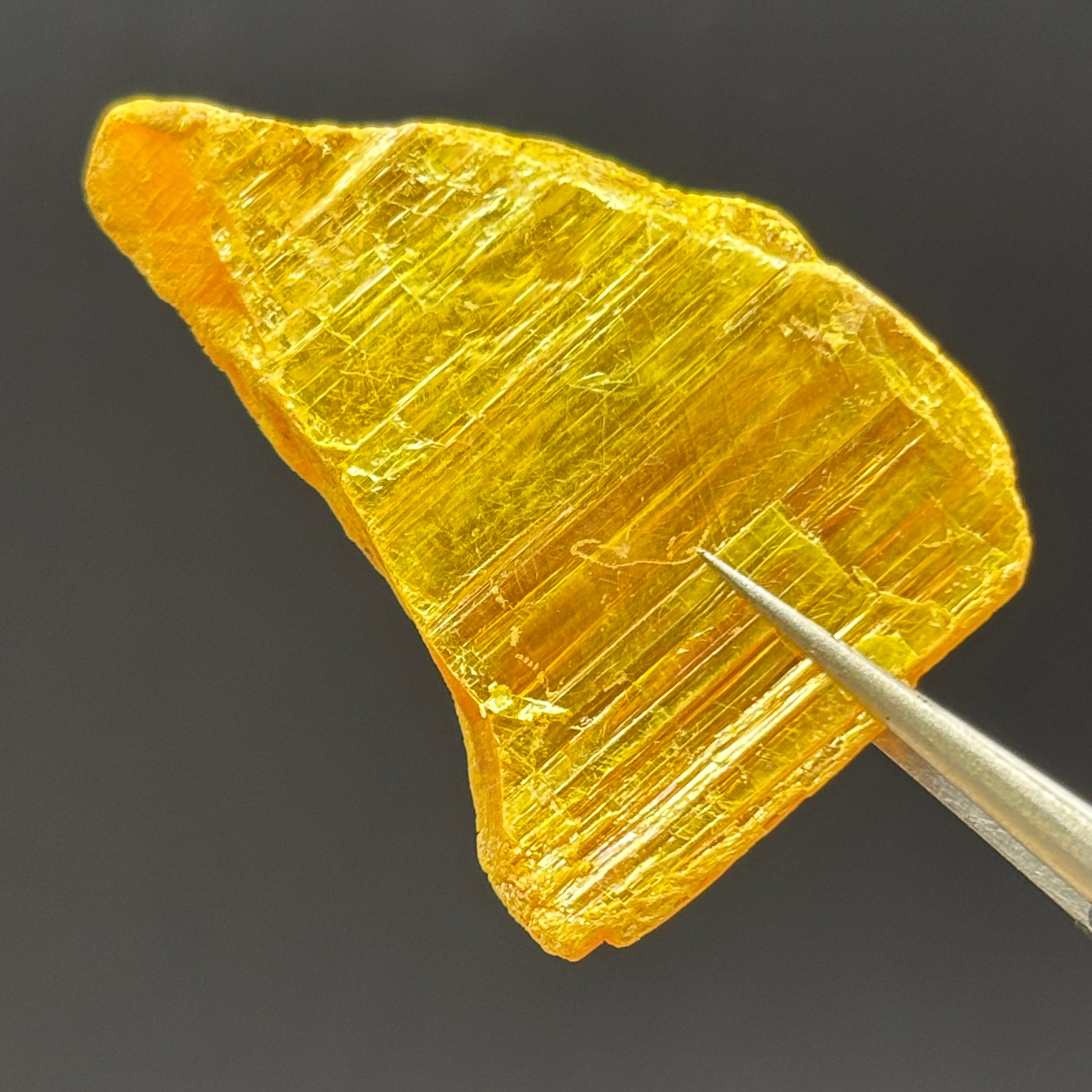 Siberian Orpiment - 031