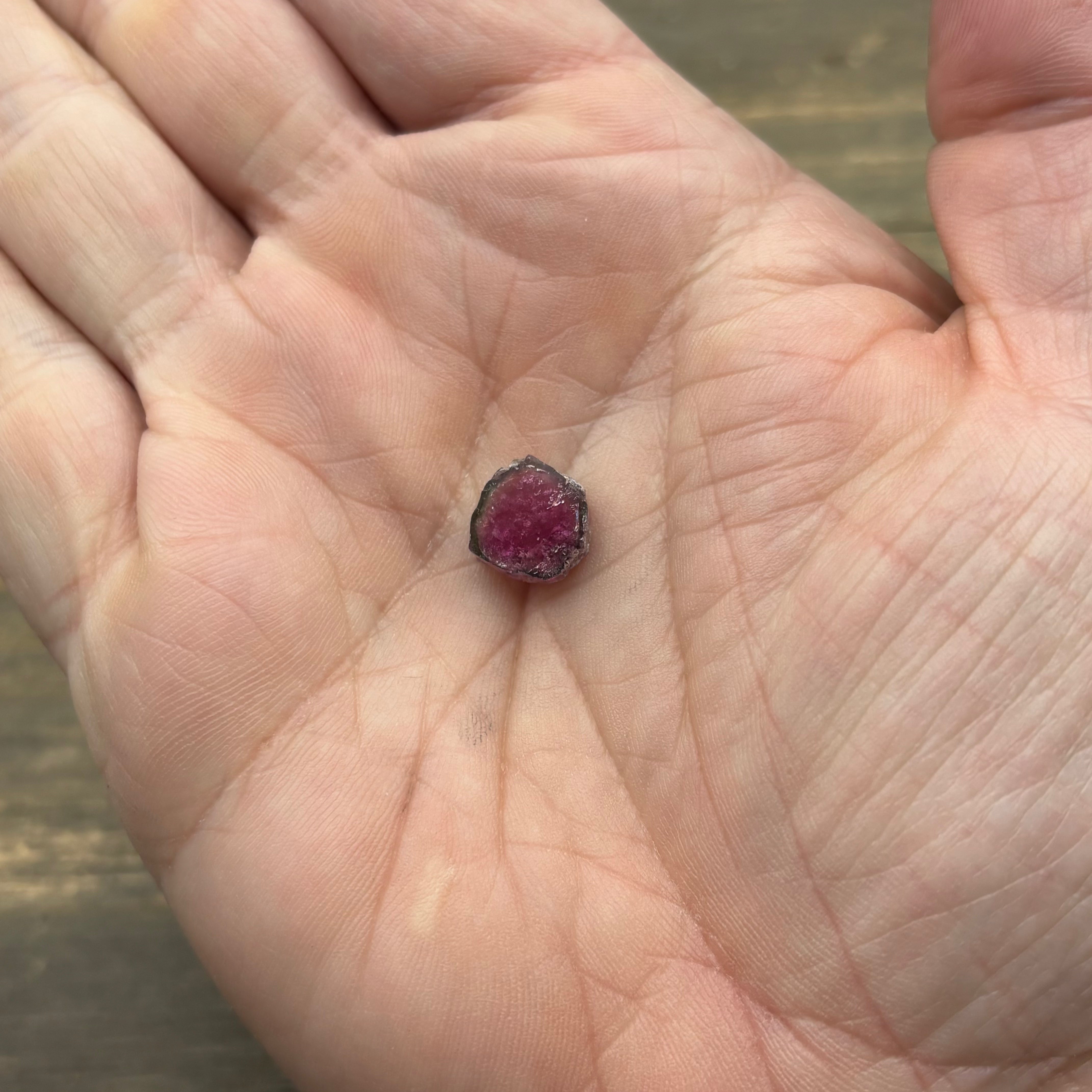 Watermelon Tourmaline Cross-Section - 009