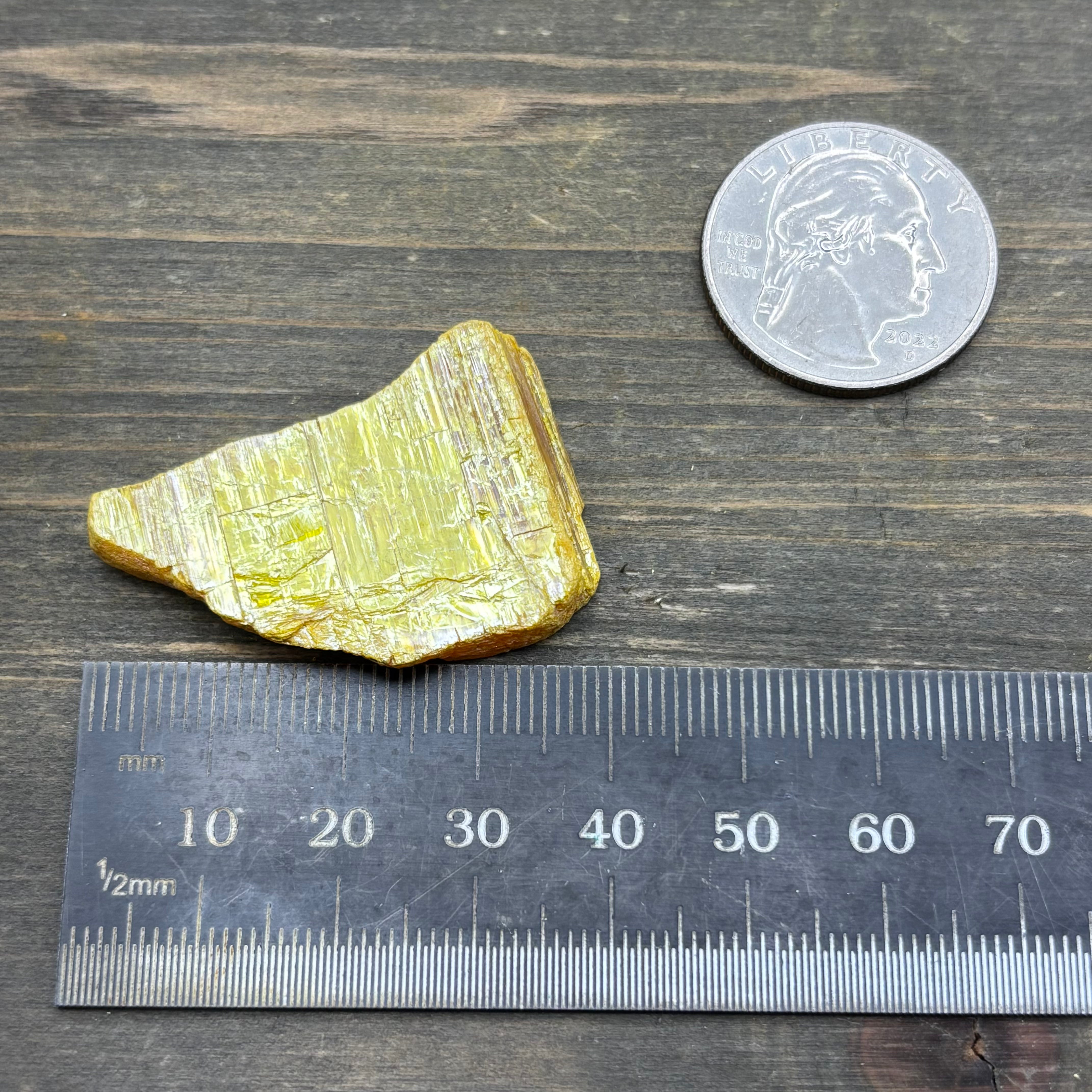 Siberian Orpiment - 031
