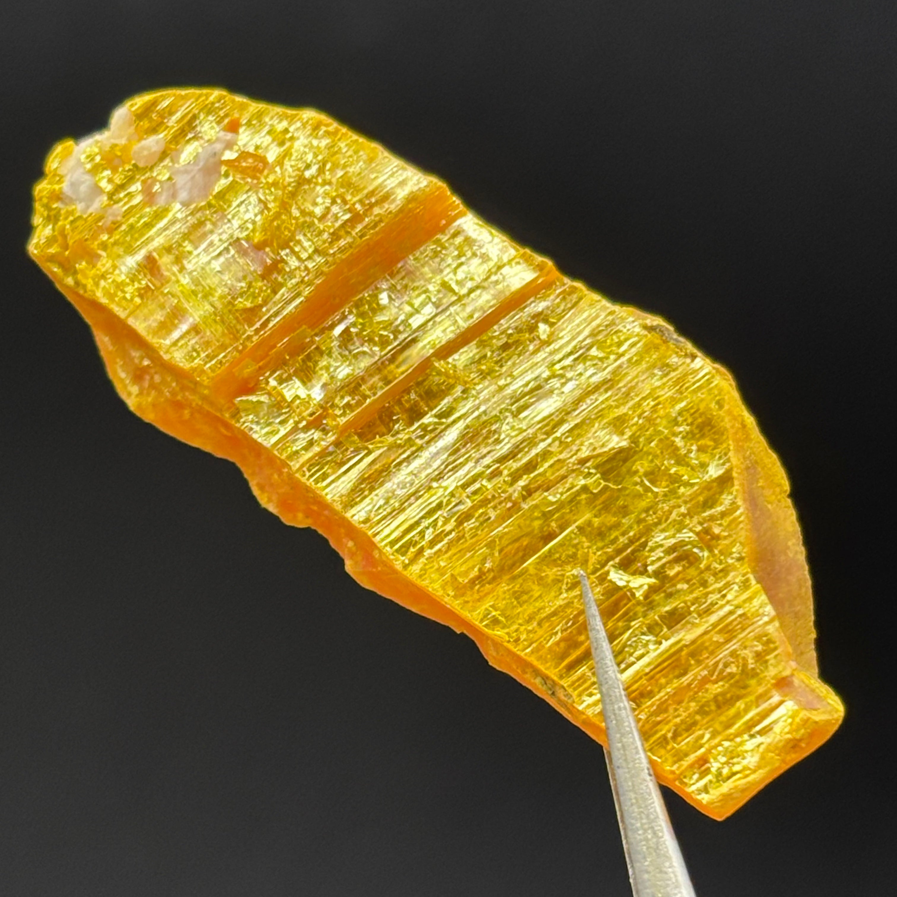 Siberian Orpiment - 032