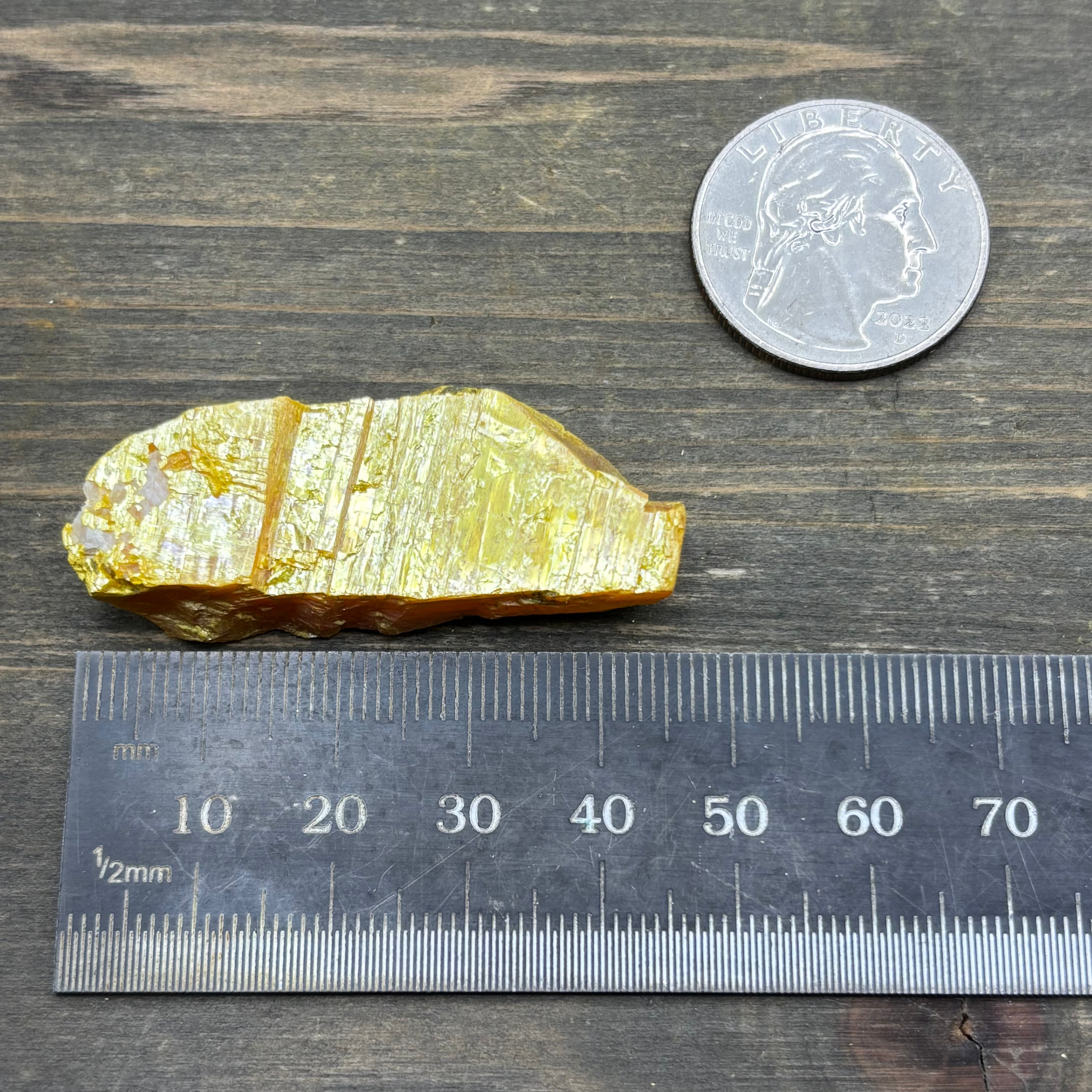 Siberian Orpiment - 032