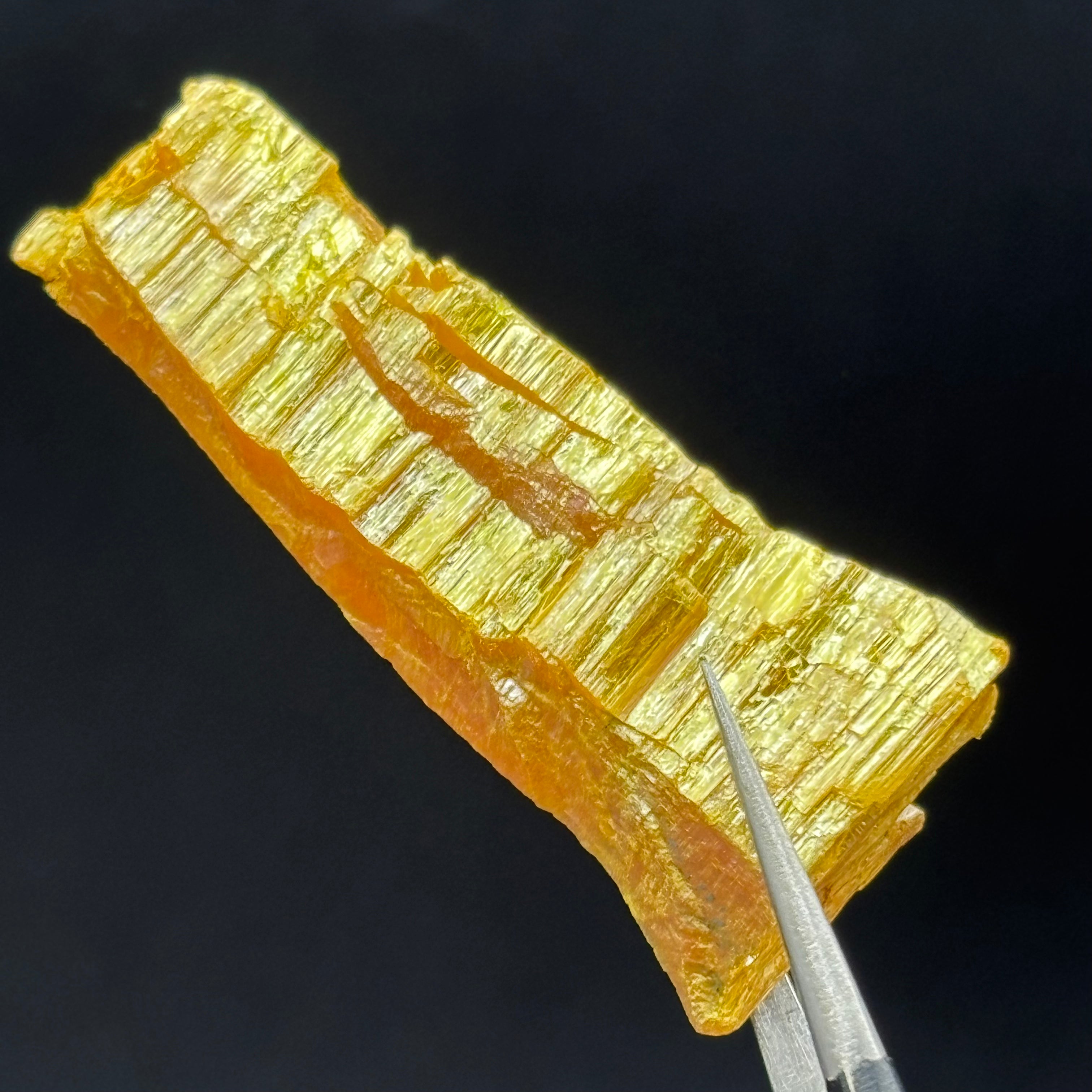 Siberian Orpiment - 033