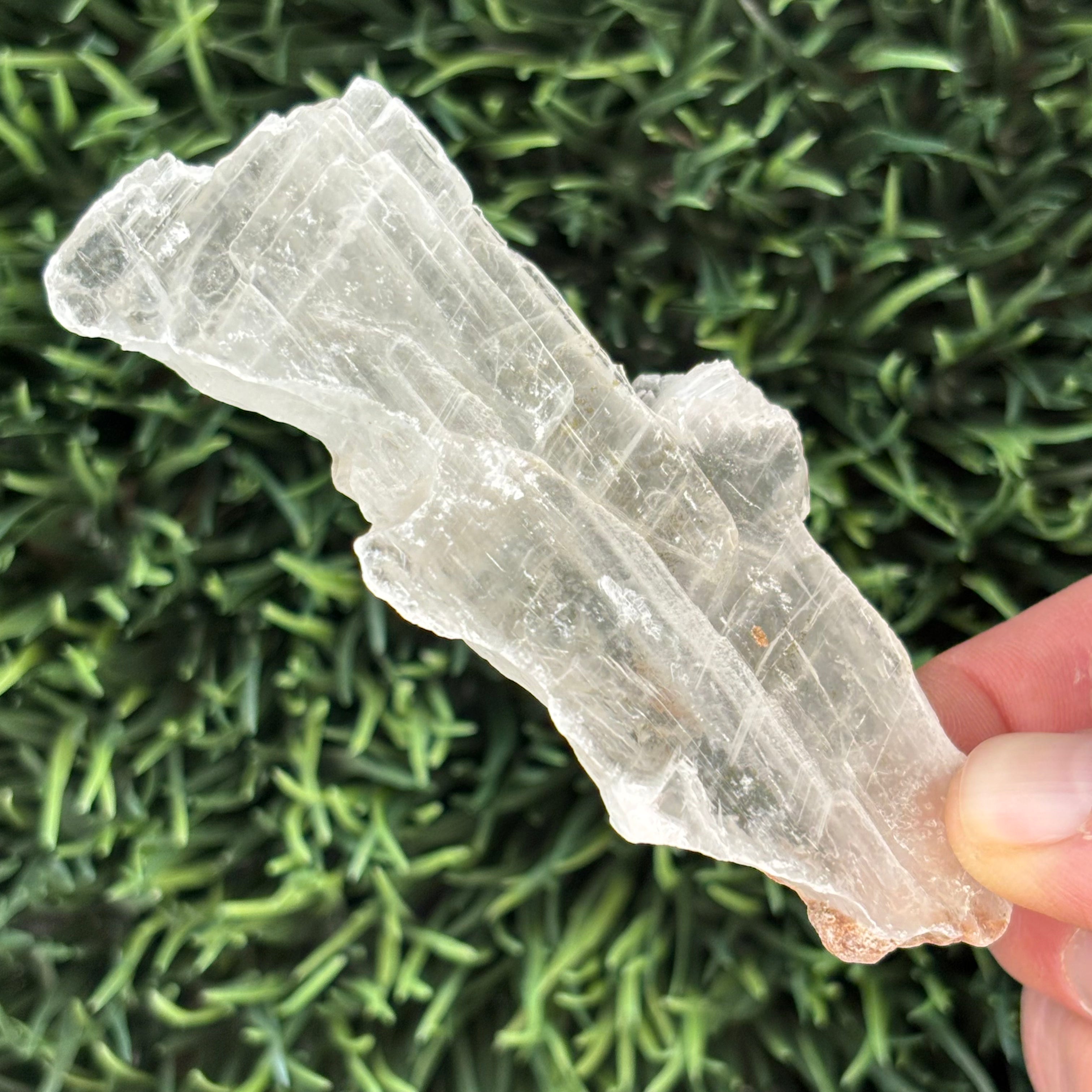 Clear Selenite Natural Form - 050
