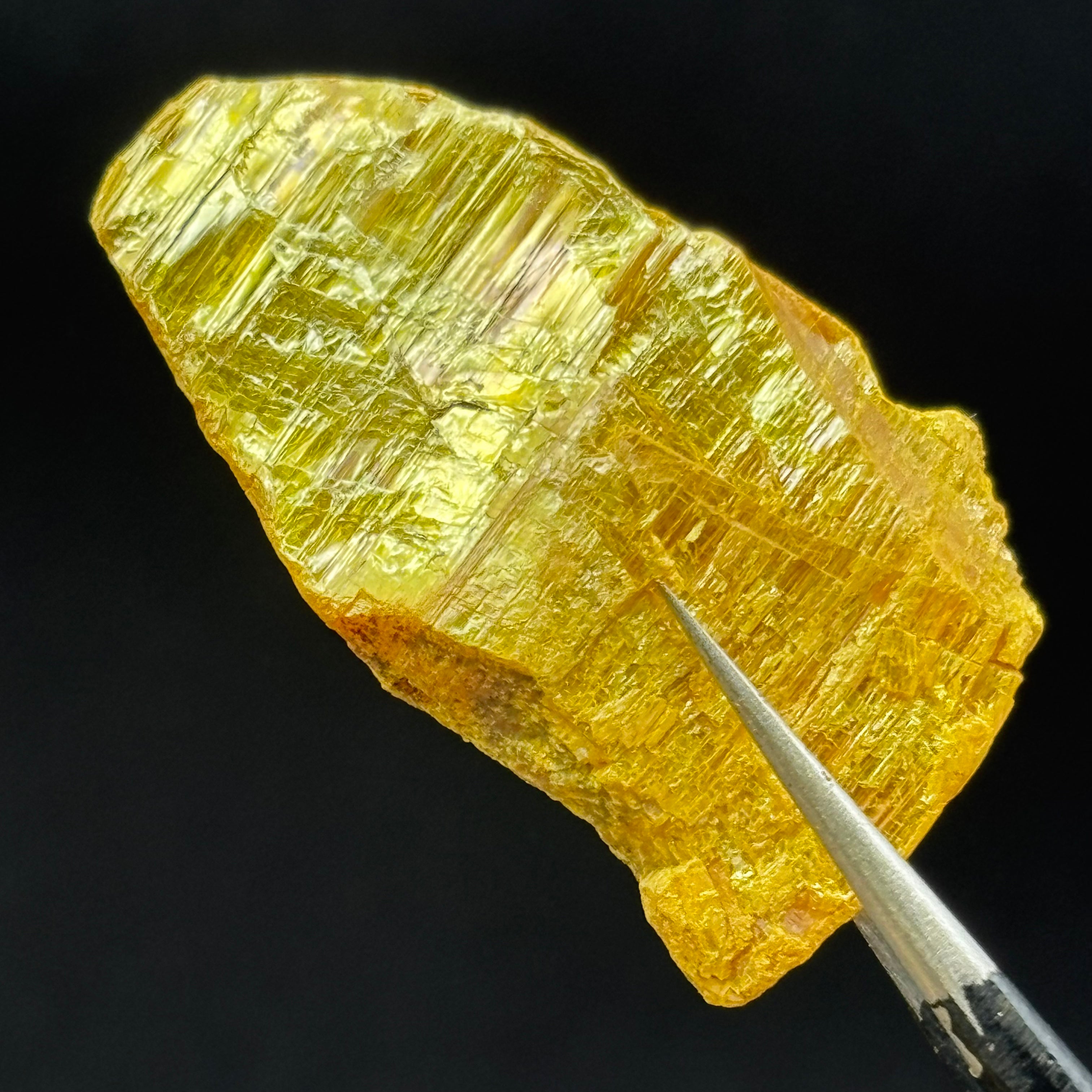 Siberian Orpiment - 034