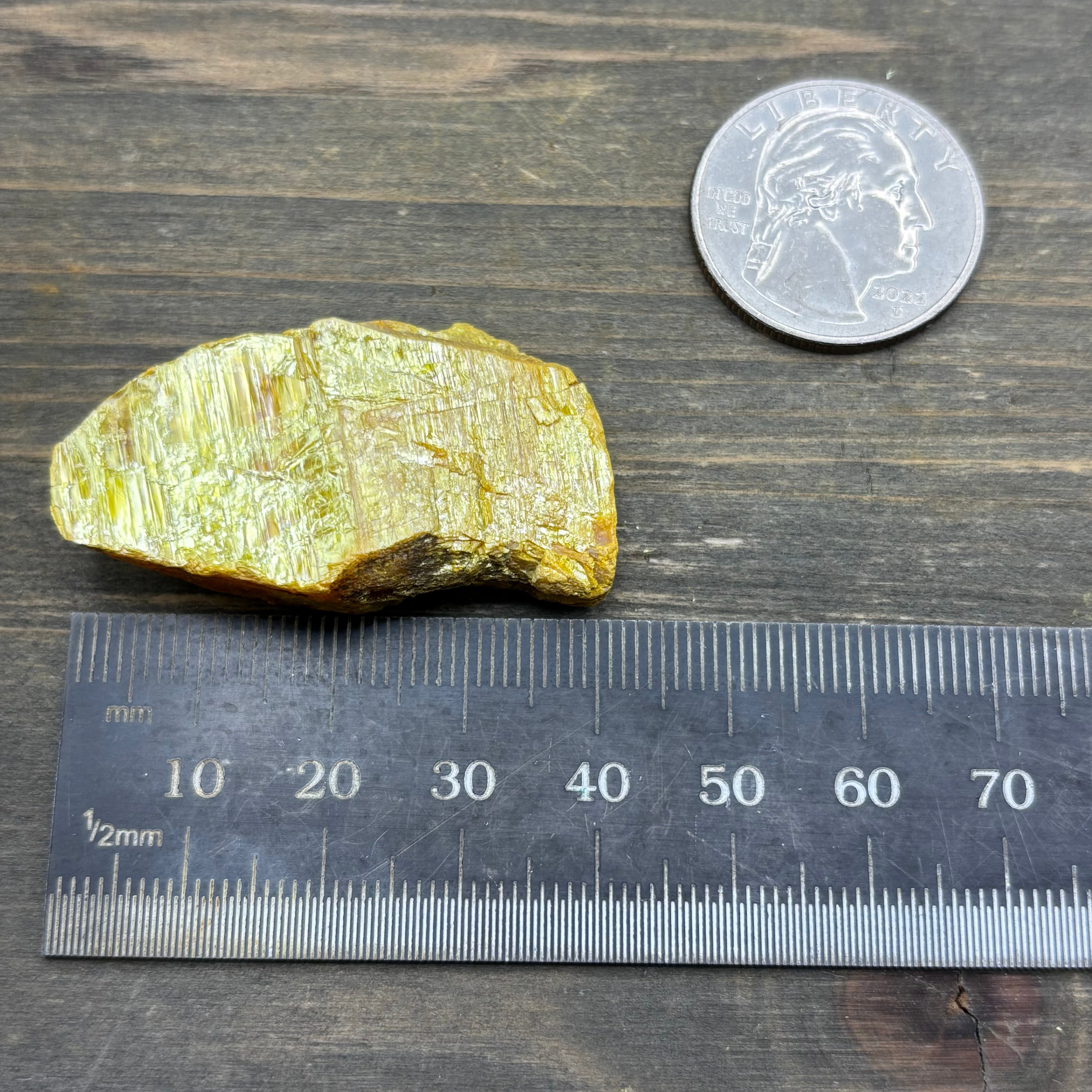 Siberian Orpiment - 034