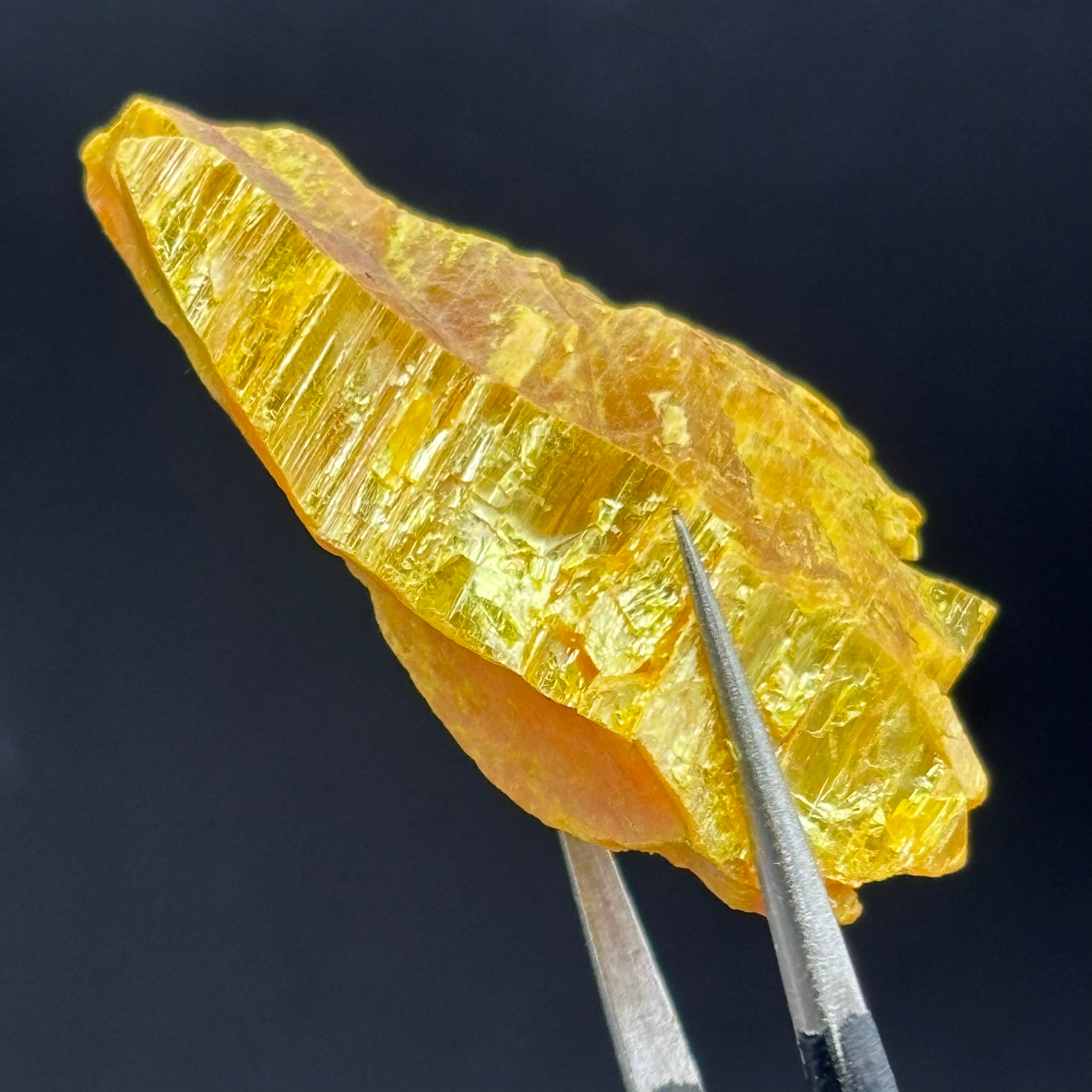 Siberian Orpiment - 036