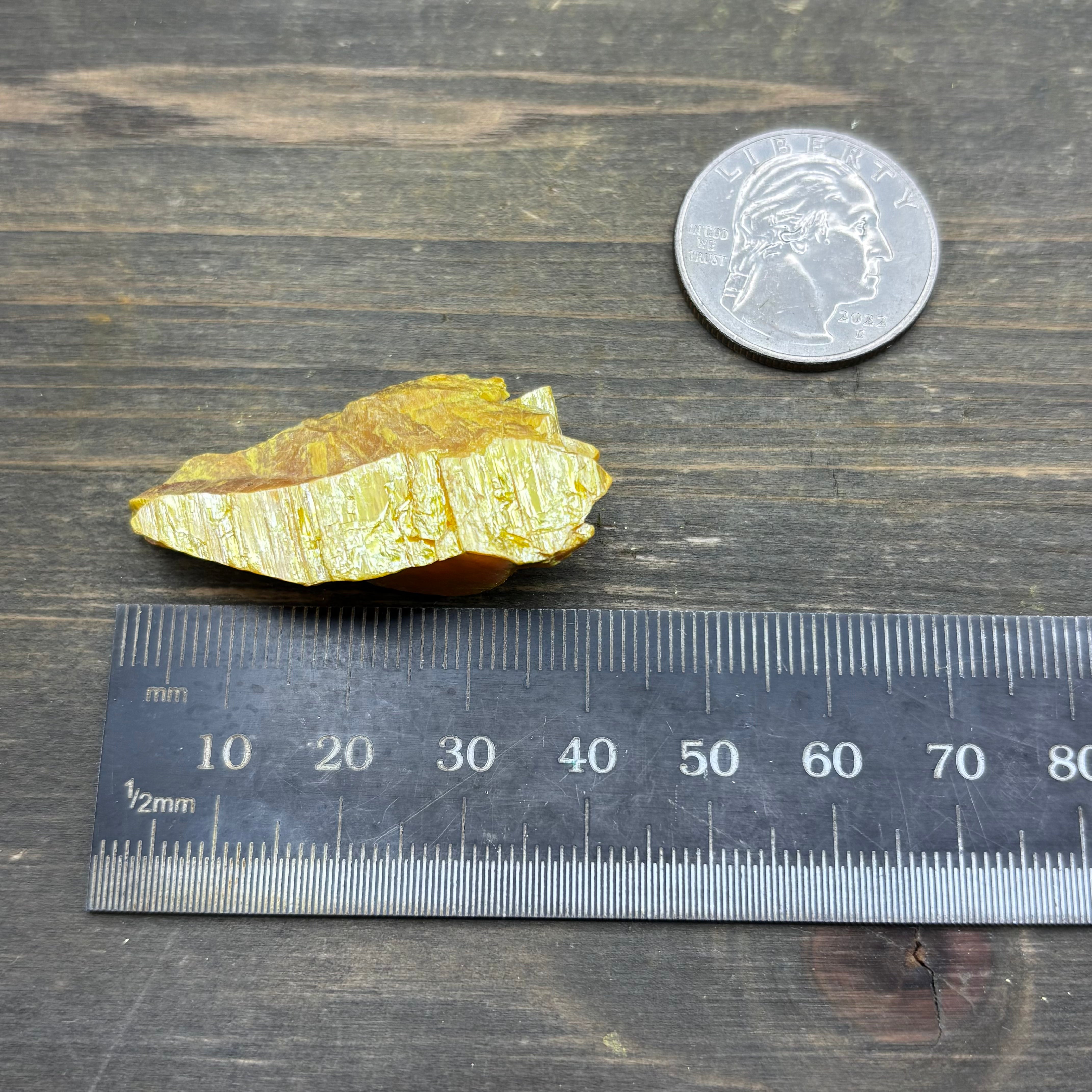 Siberian Orpiment - 036