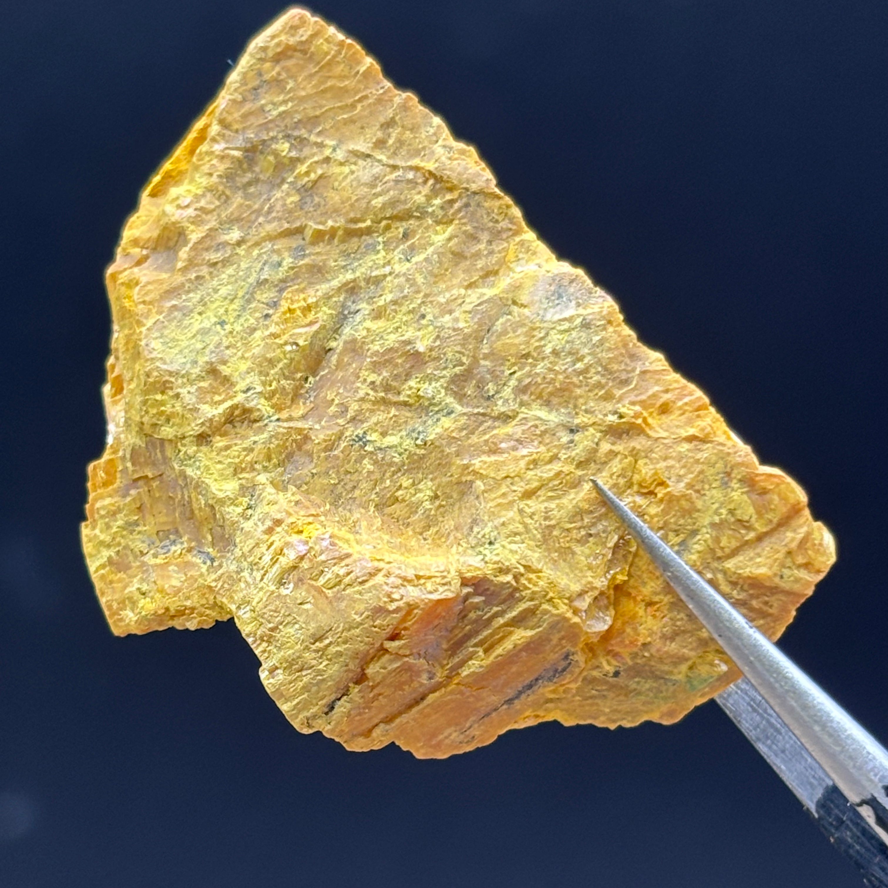 Siberian Orpiment - 037