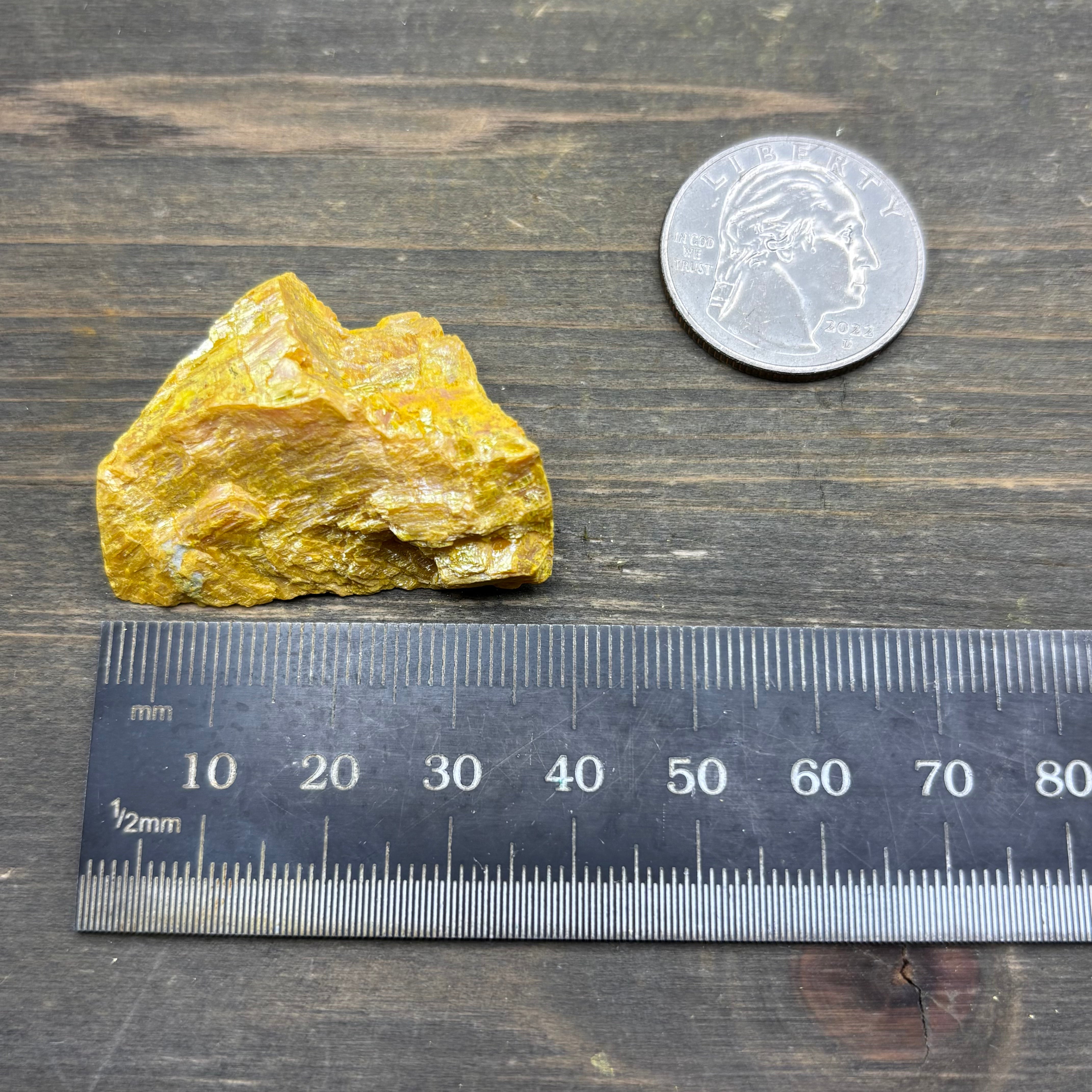 Siberian Orpiment - 037