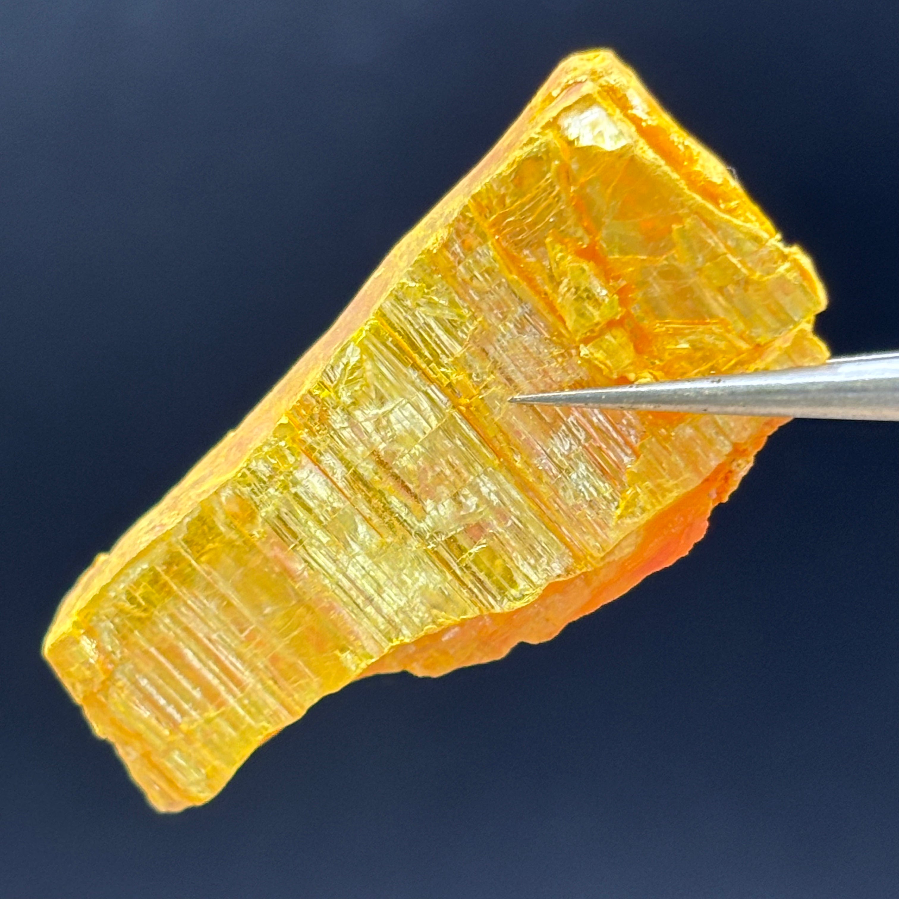 Siberian Orpiment - 038