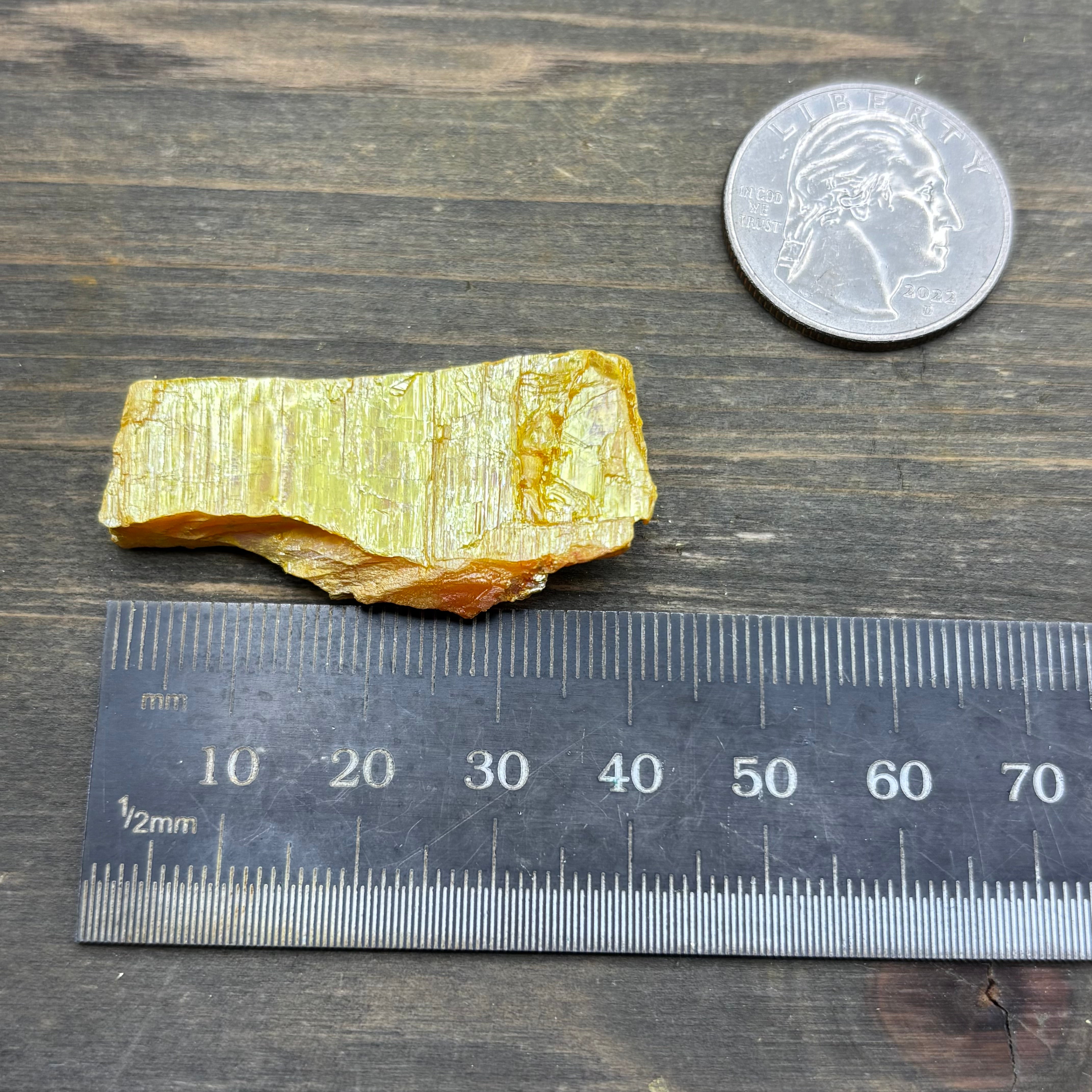 Siberian Orpiment - 038