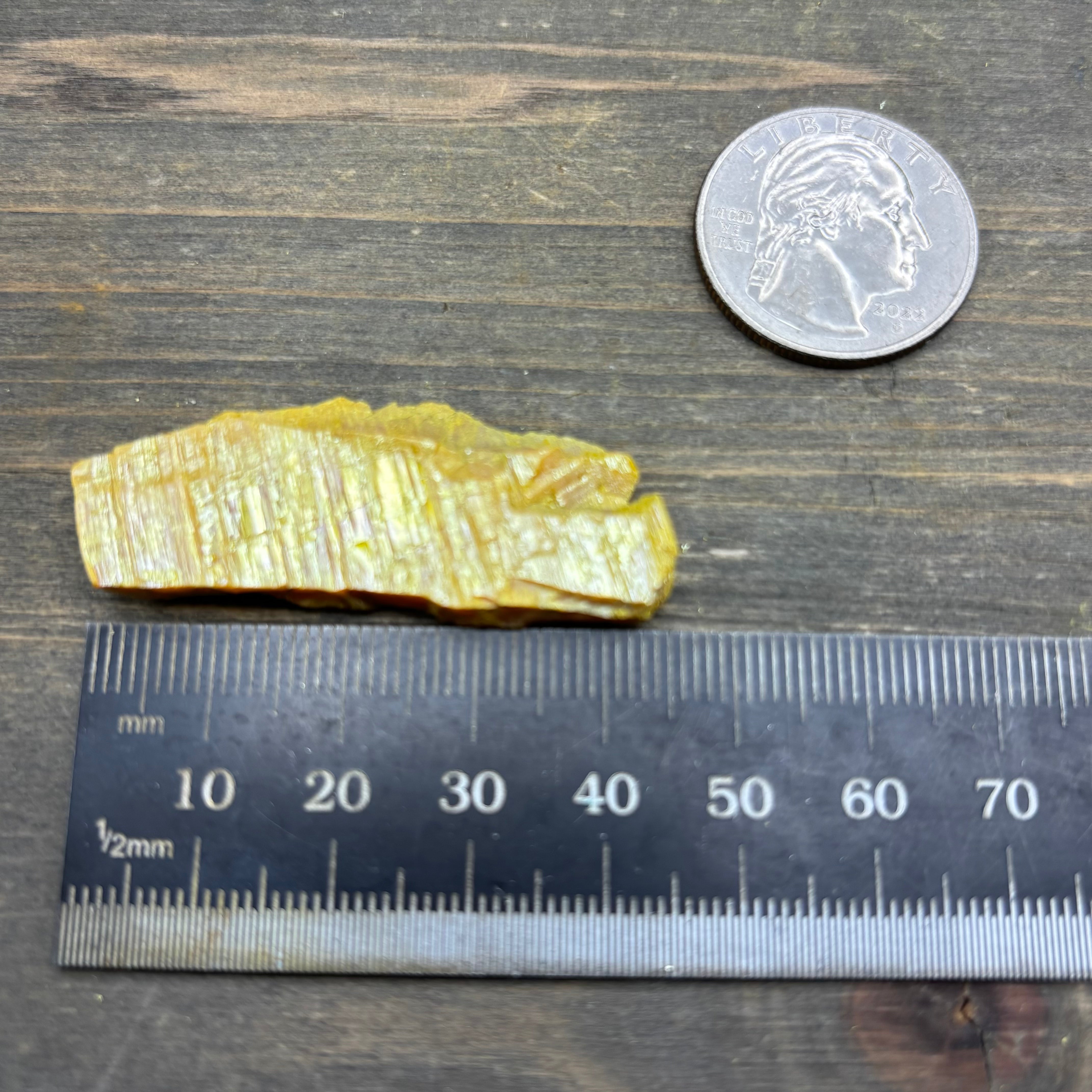 Siberian Orpiment - 039