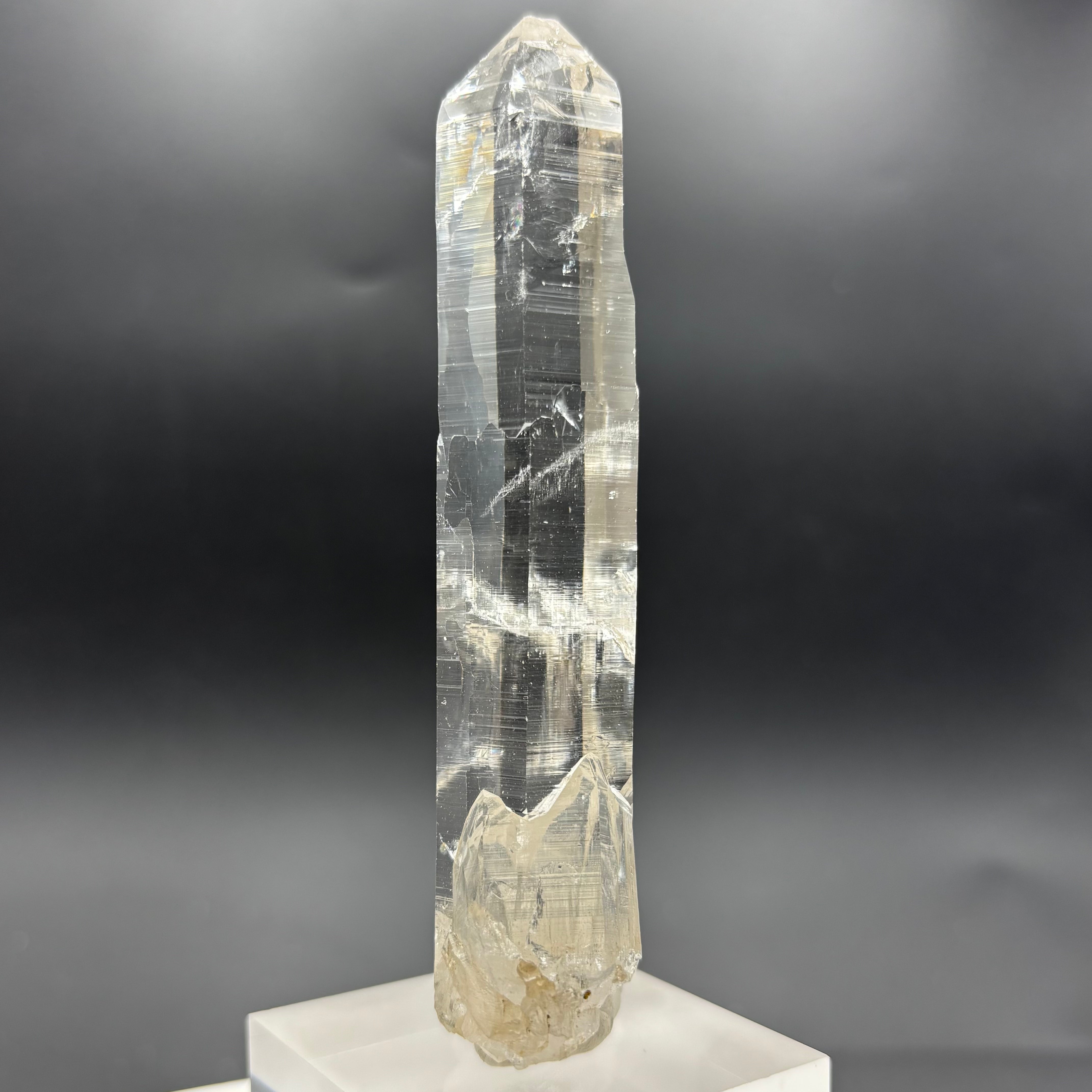 Himalayan Master Healer Quartz - 264