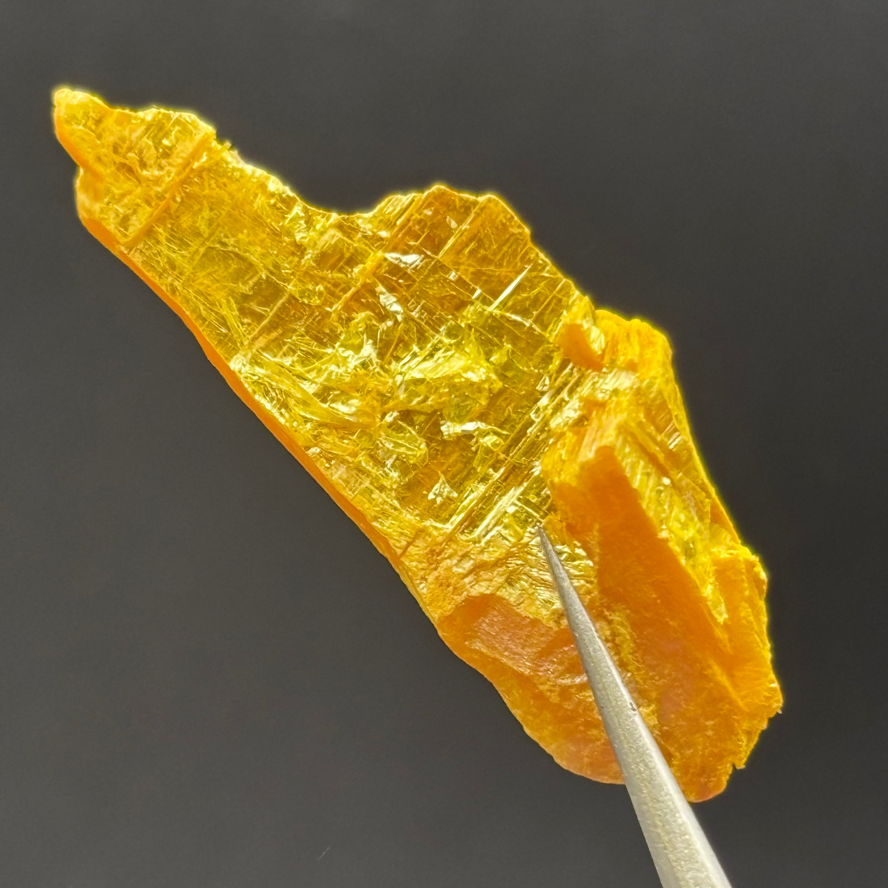 Siberian Orpiment - 040