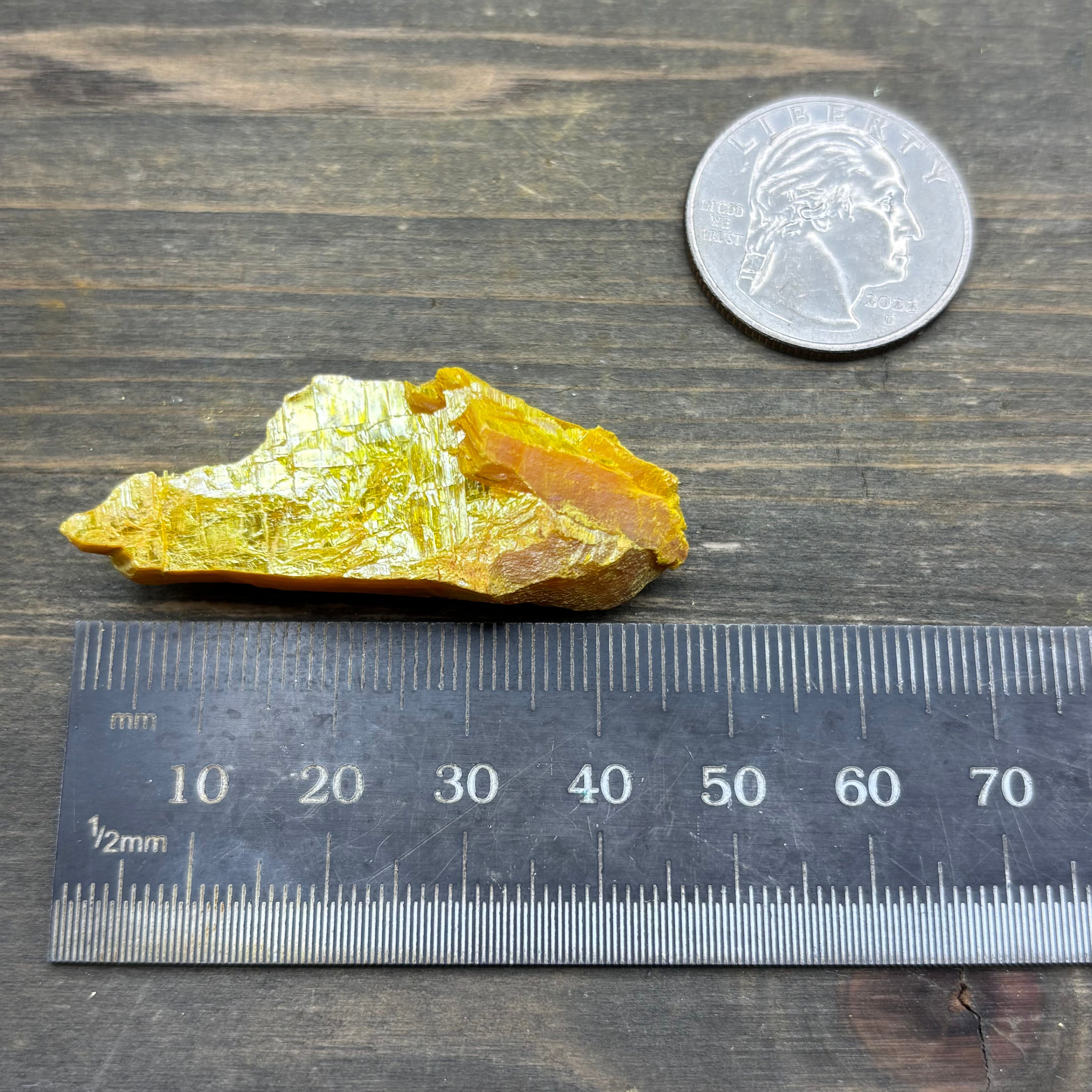 Siberian Orpiment - 040
