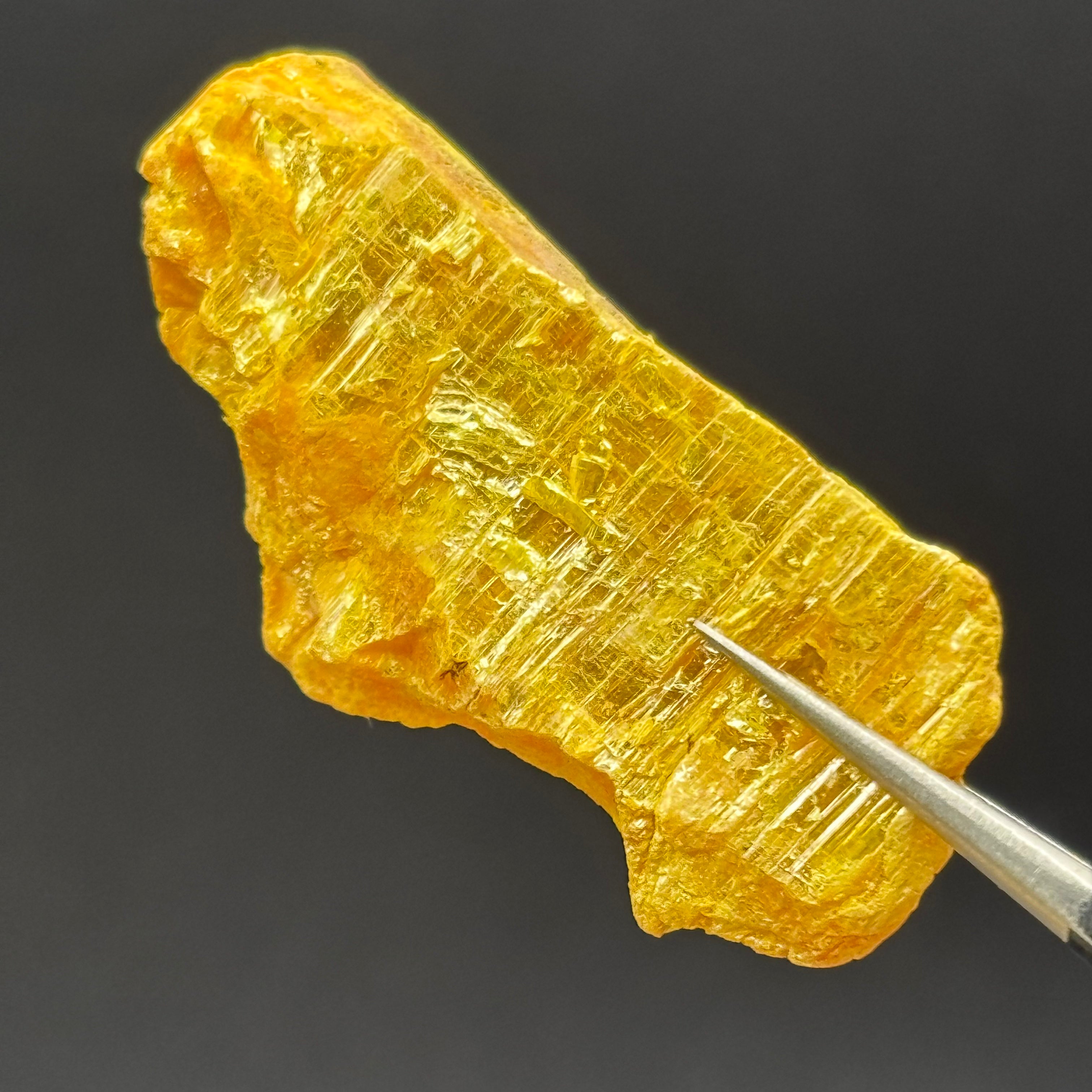 Siberian Orpiment - 042