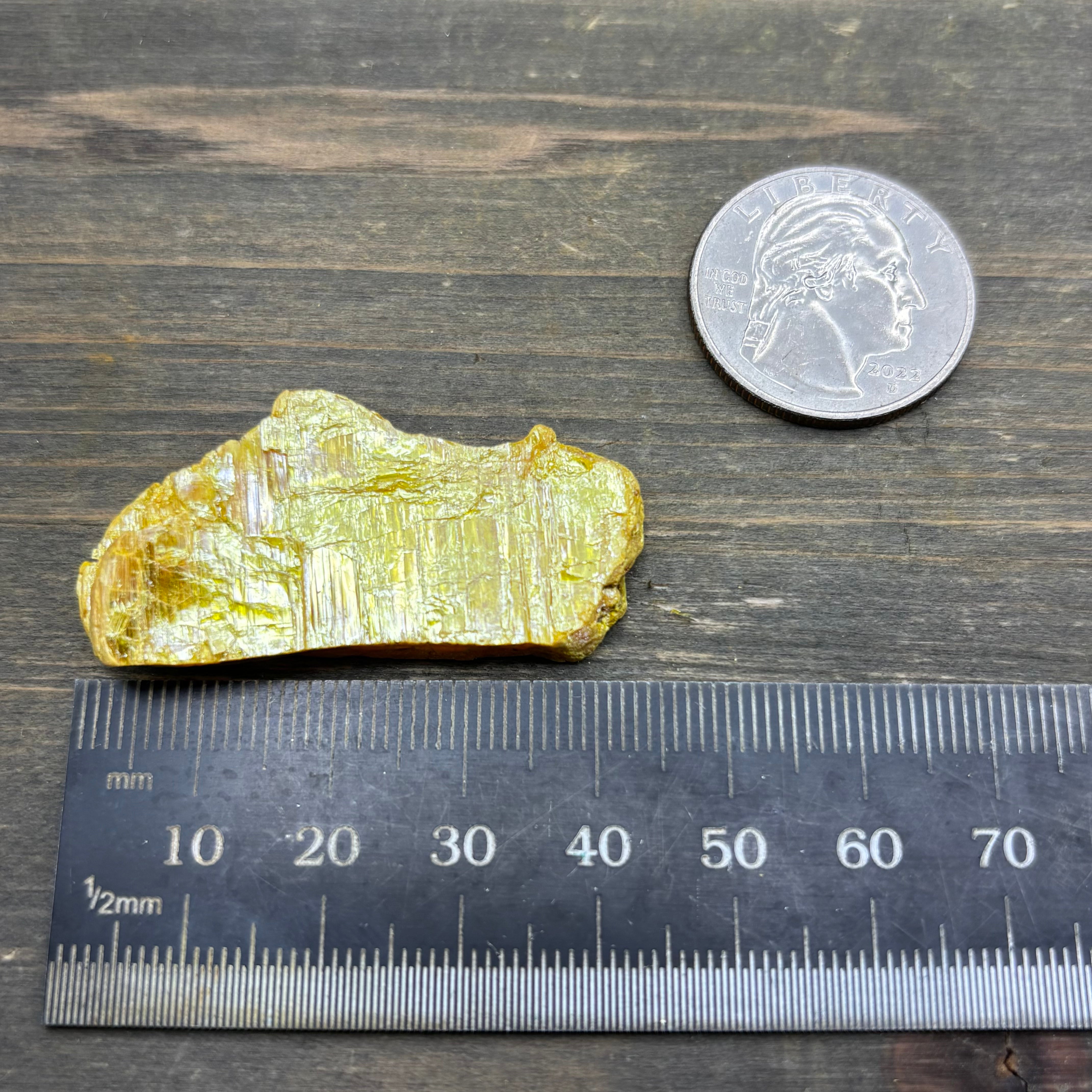 Siberian Orpiment - 042