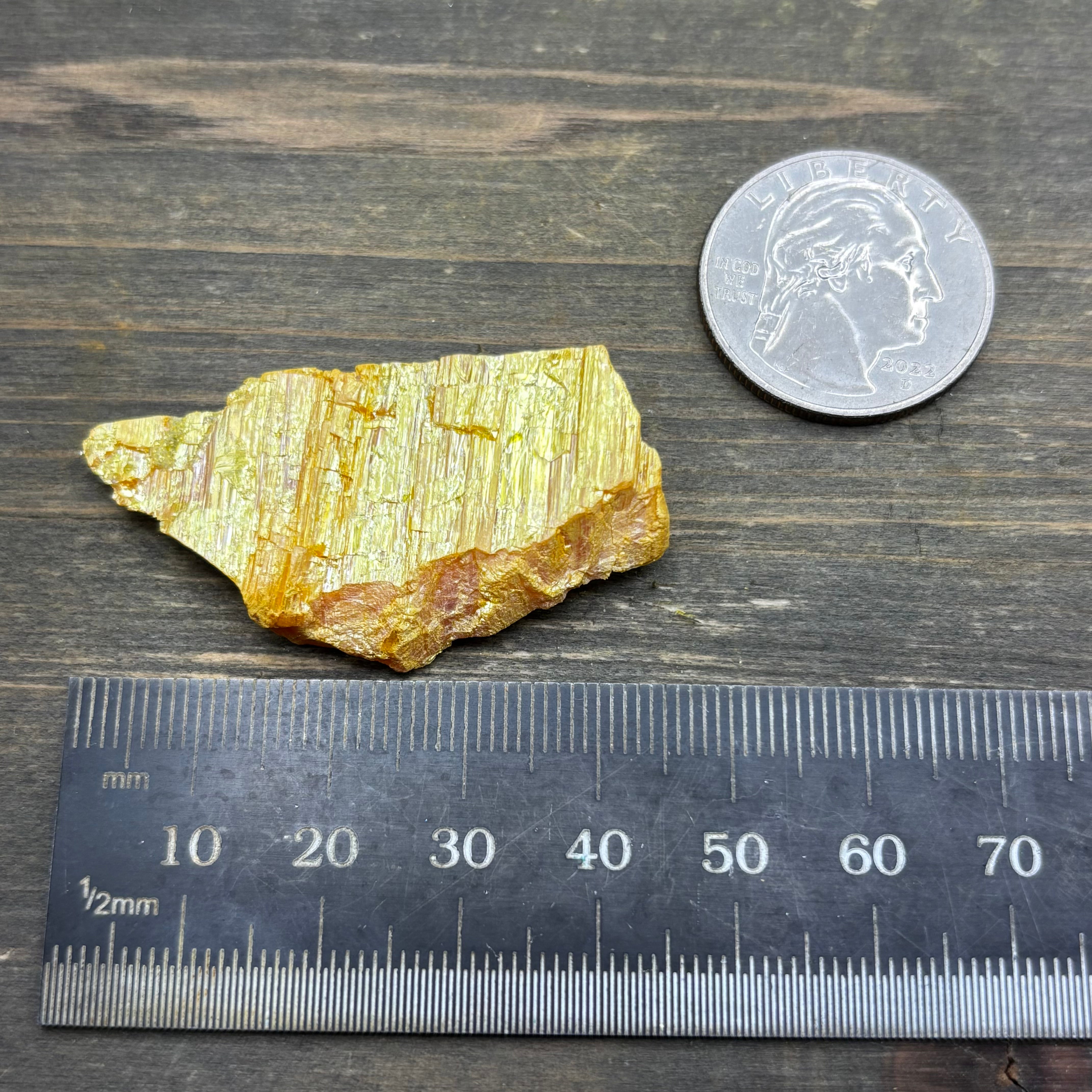 Siberian Orpiment - 043