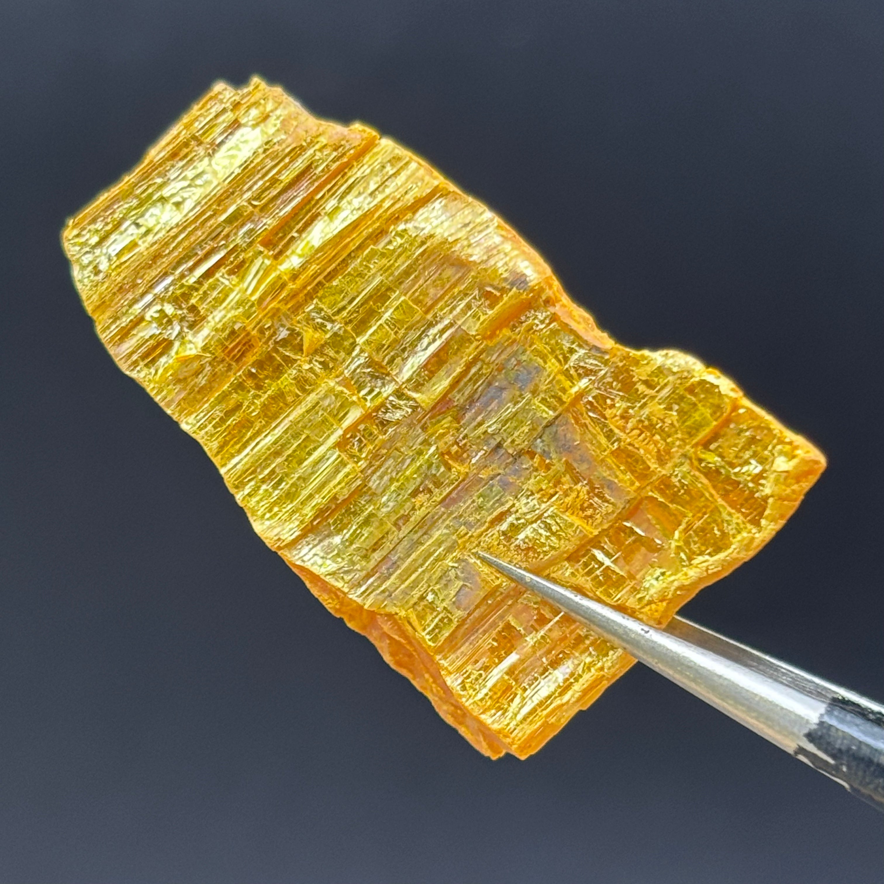 Siberian Orpiment - 044
