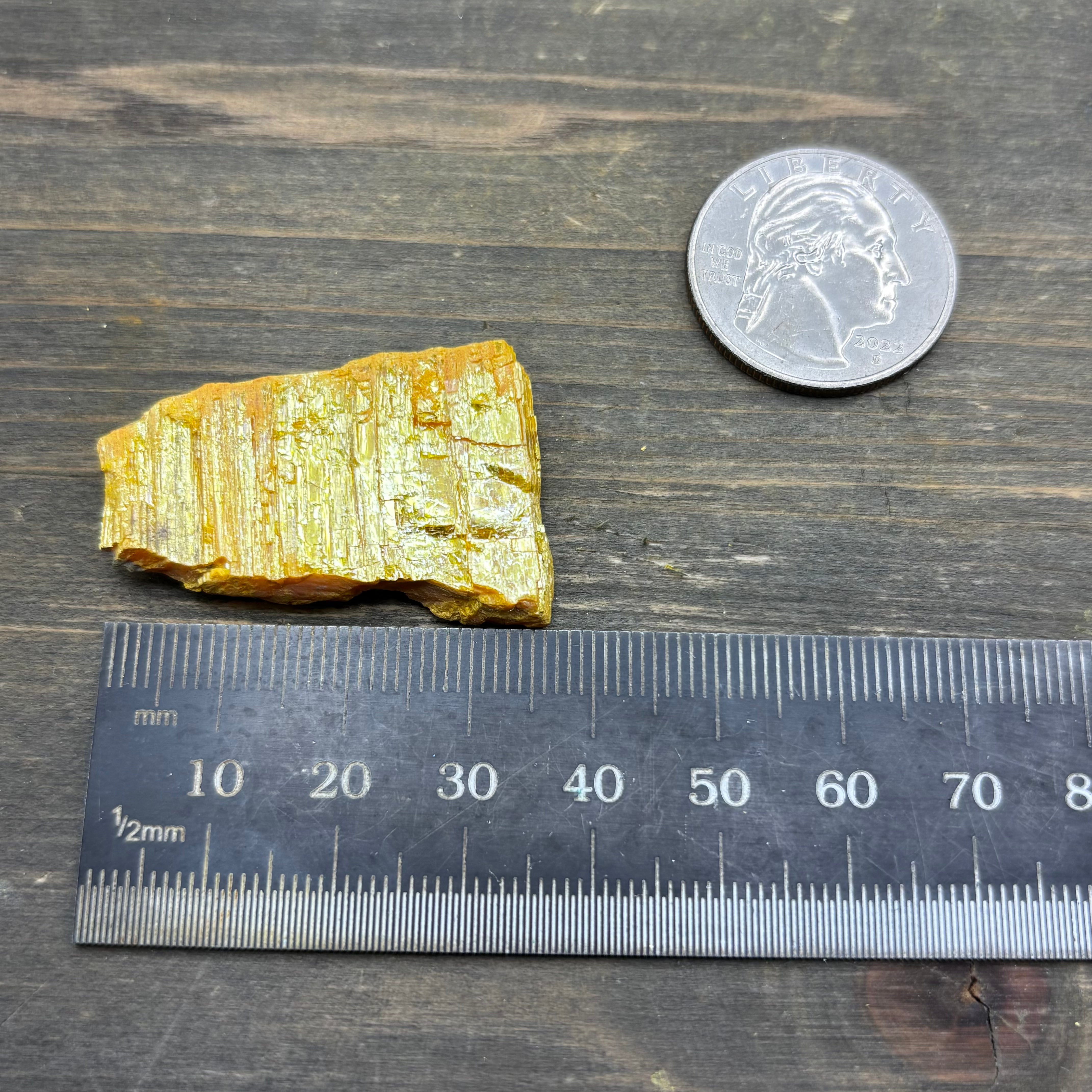 Siberian Orpiment - 044