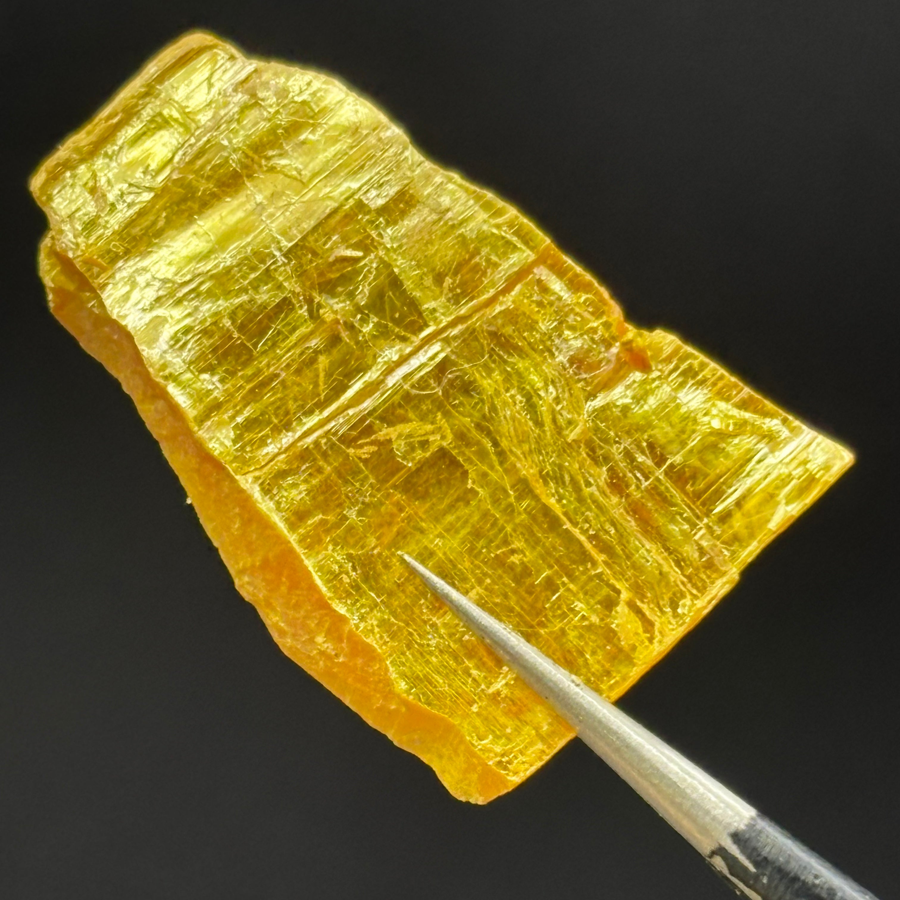 Siberian Orpiment - 045