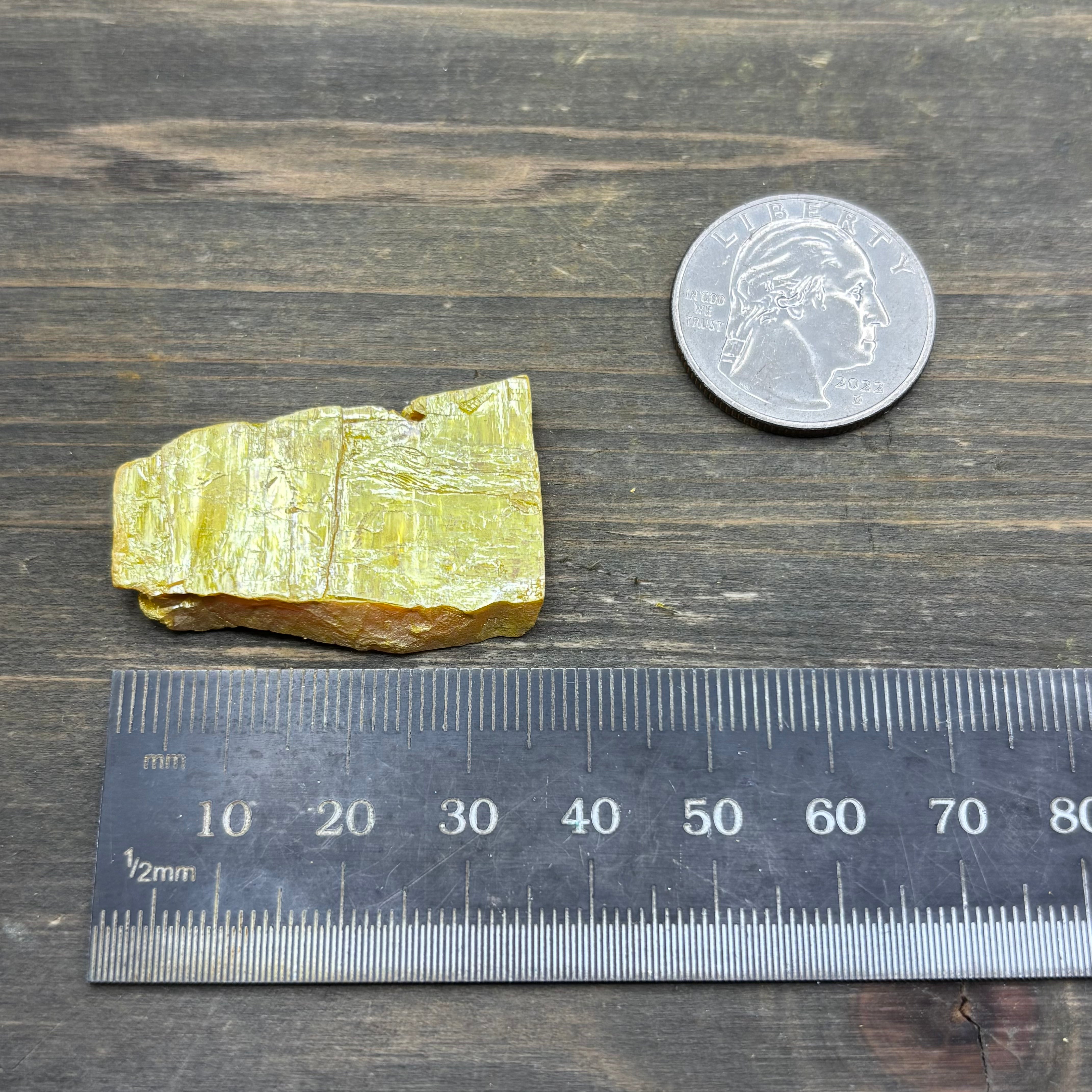 Siberian Orpiment - 045